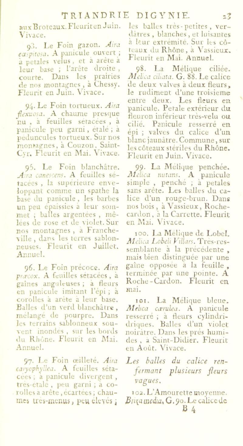 auxBroteaux. Fleurit en Juin. ^ ivace. 9?>. Le Foin gazon. Aira ea>pitaa. A panicule ouvert ; a petales velus, et a arête à leur base ; l’arête droite , courte. Dans les prairies de nos montagnes, à Chessy. Fleurit en Juin. Vivace. 94. Le Foin tortueux. Aira fexuosa. A chaume presque nu , à feuilles setacées , à panicule peu garni, étalé 1 à peduncules tortueux. Sur nos montagnes, à Couzon, Saint- Cyr. Fleurit en Mai. Vivace. 95. Le Foin blanchâtre. A ra canescens. A feuilles se- tacées , la supérieure enve- loppant comme un spathe la base du panicule , les barbes un peu épaissies a leur som- met ; balles argentées , mê- lées de rose et de violet. Sur nos montagnes , a Franche- ville , dans les terres sablon- neuses. Fleurit en Juillet. Annuel. 96. Le Foin précoce. Aira prœcox. A feuilles setacées, à gaines anguleuses ; a fleurs en panicule imitant l’épi ; à corolles à arête a leur base. Balles d’un verd blanchâtre , mélangé de pourpre. Dans les terrains sablonneux sou- vent inondes, sur les bords du Rhône. Fleurit en Mai. Annuel. 97. Le Foin œilleté. Aira caryophyllea. A feuilles séta- cées ; à panicule divergent, tres-etale , peu garni ; à co- rolles a arête, écartées ; chau- mes très-menus, peu élevés ; les balles très - petites, ver- dâtres , blanches, et luisantes à leur extrémité. Sur les co- teaux du Rhône, à Vassieux. Fleurit en Mai. Annuel. 98. La Mélique ciliée. Alelica ciliata. G. 88. Le calice de deux valves à deux fleurs, le rudiment d’une troisième entre deux. Les fleurs en panicule. Petale extérieur du fleuron inférieur très-velu ou cilié. Panicule resserré en épi ; valves du calice d’un blanc jaunâtre. Commune, sur les côteaux stériles du Rhône. Fleurit en Juin. Vivace. 99. La Mélique penchée. Alelica nutans. A panicule simple , penché ; à petales sans arête. Les balles du ca- lice d’un rouge-brun. Dans nos bois , à Vassieux, Roche- cardon, à la Carrette. Fleurit en Mai. Vivace. 100. La Mélique de Lobel. Alchca Lobeli Villars. Très-res- semblante à la précédente , mais bien distinguée par une gaine opposée a la feuille , terminée par une pointe. A Roche-Cardon. Fleurit en mai. 101. La Mélique bleue. Alelica cœrulea. A panicule resserré ; à fleurs cylindri- driques. Balles d’un violet noirâtre. Dans les prés humi- des , a Saint-Didier. Fleurit en Août. Vivace. Les balles du calice ren- fermant plusieurs fleurs vagues, 1 oa. L’Amourette moyenne. Bn\a media, G. 90. Le calice de 13 4