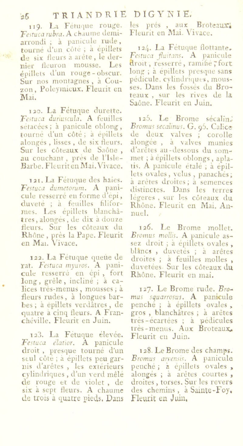 119. La Féruque rouge. Festuca rubra.A chaume demi- arrondi ; à panicule rude, tourné d’un côté ; à épillets de six fleurs à arête , le der- nier fleuron mousse. Les épillets d’un rouge - obscur. Sur nos montagnes , à Cou- zon, Poleymieux. Fleurit en Mai. 120. La Fétuque durette. Festuca duriuscula. A feuilles sétacées ; à panicule oblong, tourné d’un côté ; à épillets alongés, lisses, de six fleurs. Sur les coteaux de Saône , au couchant, près de l’Isle- Barbe. Fleurit en Mai. Vivace. 121. La Fétuque des haies. Festuca dumetorum. A pani- cule resserré en forme d’épi, duveté ; à feuilles filifor- mes. Les épillets blanchâ- tres , alongés , de dix à douze fleurs. Sur les côteaux du Rhône , près la Pape. Fleurit en Mat. V ivace. 122. La Fétuque queue de rat. Festuca myuros. A pani- cule resserré en épi , fort long, grêle, incliné ; à ca- lices très-menus, mousses ; à fleurs rudes, à longues bar- bes ; à épillets verdâtres, de quatre a cinq fleurs. A Fran- chéville. Fleurit en Juin. ia3. La Fetuque élevée. Festuca élatior. A panicule droit , presque tourné d’un seul côté ; à épillets peu gar- nis d’arêtes , les extérieurs cylindriques, cl’un verd mêlé de rouge et de violet , de six à sept fleurs. A chaume de trots à quatre pieds. Dans les prés , aux Broteaux1* Fleurit en Mai. Vivace. 124. La Fétuque flottante. Festuca jluitans. A panicule droit, resserré, ramifié 7fort long ; à épillets presque sans pédicule, cylindriques, mous- ses. Dans les fossés du Bro- teaux , sur les rives de la Saône. Fleurit en Juin. 125. Le Brome sécalin.1 Brornus secalinus. G. 96. Calice de deux valves ; corolle alongée , à valves munies cl’arêtes au-dessous du som- met ; à épillets oblongs , apla- tis. A panicule étalé ; à épil- lets ovales, velus , panachés; à arêtes droites; à semences distinctes. Dans les terres légères , sur les coteaux du Rhône. Fleurit en Mai. An- nuel. 126. Le Brome mollet. Brornus mollis. A panicule as- sez droit ; à épillets ovales , blancs , duvetés ; à arêtes droites ; à feuilles molles , duvetées Sur les côteaux du Rhône. Fleurit en mai. 127. Le Brome rude. Bra- mas squarrosus. A panicule penché ; à épillets ovales , gros , blanchâtres ; à arêtes très-écartées ; à pédicules très-menus. Aux Broteaux* Fleurit en Juin. 128. Le Brome des champs. Brornus arvensis. A panicule penché ; à épillets ovales , alongés ; à arêtes courtes , droites, torses. Sur les revers des chemins, à Sainte-Foy, Fleurit en Juin,