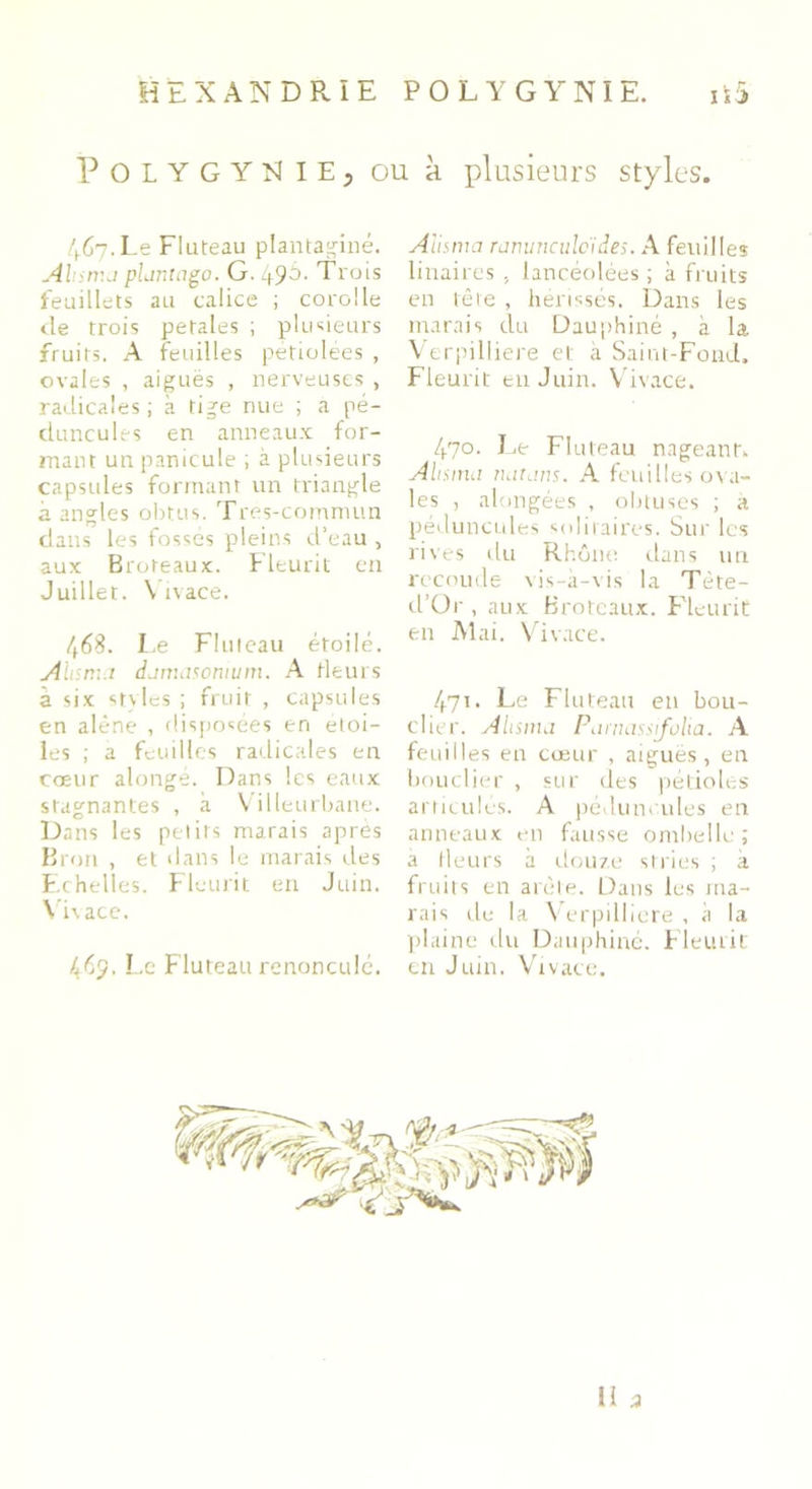 Polygynie, ou à plusieurs styles. 467. Le Fluteau plantaginé. Ahsma plantago. G. 49^- Trois feuillets au calice ; corolle de trois petales ; plusieurs fruits. A feuilles pétiolées , ovales , aiguës , nerveuses , radicales; à tige nue ; a pé- duncules en anneaux for- mant unpanicule ; à plusieurs capsules formant un triangle à angles obtus. Très-commun dans les fossés pleins cl’eau , aux Broteaux. Fleurit en Juillet. \ ivace. 468. L.e Fluteau étoilé. Ahsma damascnium. A fleurs à six styles ; fruit , capsules en alêne , disposées en étoi- lés ; a feuilles radicales en cœur alongé. Dans les eaux stagnantes , à Villeurbane. Dans les petits marais après Bron , et dans le marais des Echelles. Fleurit en Juin. Vivace. 469. Le Fluteau renoncule. Alisma ranunculci des. A feuilles linaires , lancéolées ; à fruits en tête , hérissés. Dans les marais du Dauphiné , à la Verpilliere et: à Saint-Fond. Fleurit en Juin. Vivace. 470. Le Fluteau nageant. Ahsma ruitans. A feuilles ova- les , alongées , obtuses ; a péduncules solitaires. Sur les rives du Rhône dans un recoude vis-à-vis la Tète- d’Or , aux Broteaux. Fleurit en Mai. Vivace. 471. Le Fluteau en bou- clier. Ahsma Parnassifolia. A feuilles en cœur , aiguës, en bouclier , sur des pétioles articulés. A péduncules en anneaux en fausse ombelle ; a Heurs à douze stries ; à fruits en arête. Dans les ma- rais de la Verpilliere , à la plaine du Dauphiné. Fleurit en Juin. Vivace. U u