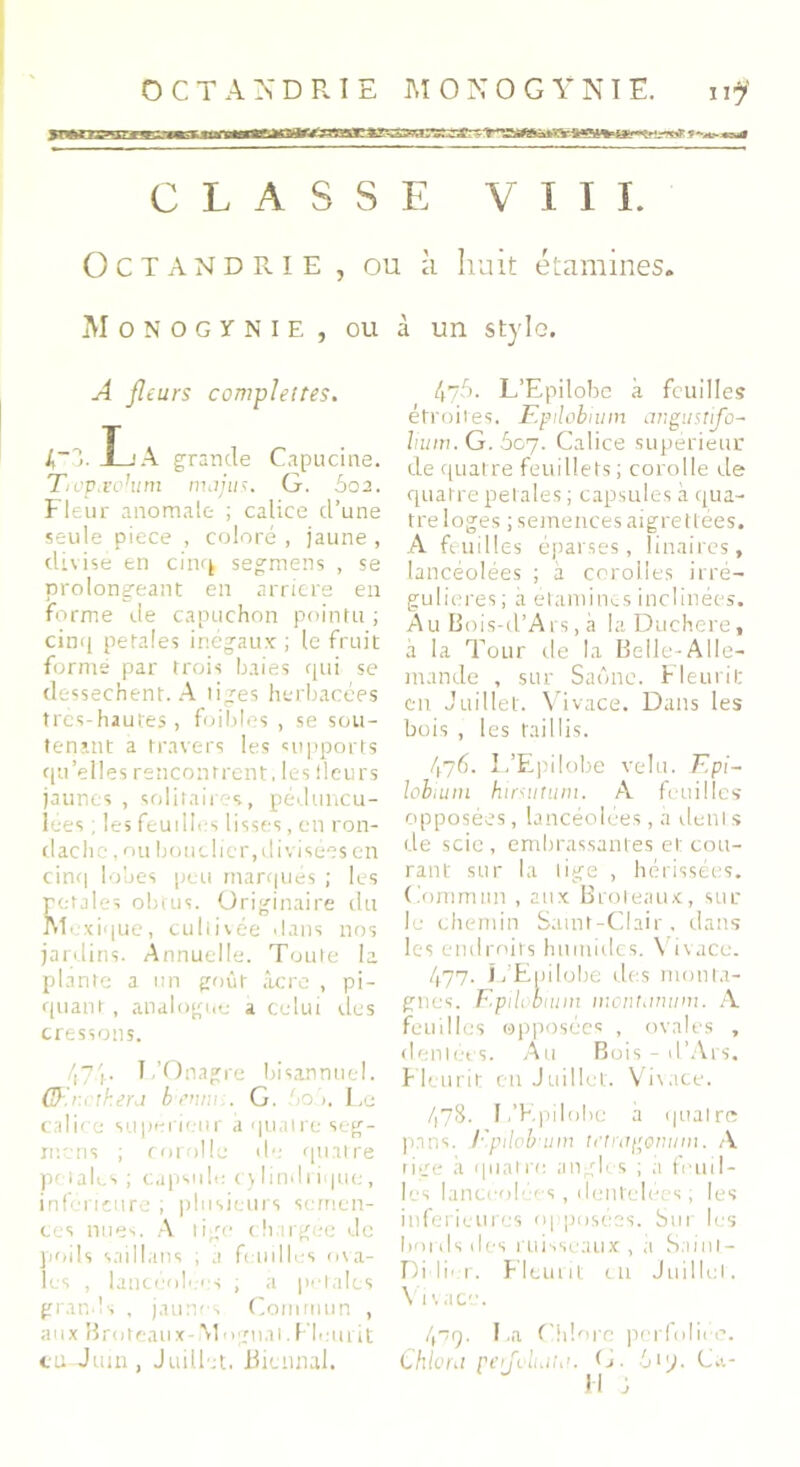 CLASSE VIII. O C T A N d R I E , ou à huit étamines. M o N O G Y N I E , ou à un stylo. A fleurs completres. 4~3. IL'A grande Capucine. Tivpixolum nwjus. G. 5o2. Fleur anomale ; calice d’une seule piece , coloré , jaune , divisé en cinq segmens , se prolongeant en arriéré en forme de capuchon pointu ; cinq petales inégaux ; le fruit formé par trois baies qui se dessèchent. A liges herbacées tres-hautes, foibles , se sou- tenant a travers les supports qu’elles rencontrent, les ileurs jaunes , solitaires, péduncu- lées ; les feuilles lisses, en ron- dache, ou bouclier,divisées en cinq lobes peu marqués ; les étalés obtus. Originaire du lexique, culiivée dans nos jardins. Annuelle. Toute la plante a un goût âcre , pi- quant, analogue a celui des cressons. 471- l ’Onagre bisannuel. OF.r.< tkeret henni.. G. !>o >. Le calice supérieur a quatre seg- mens ; corolle de quatre petales ; capsule cylindrique, inférieure ; plusieurs semen- ces nues. A lige chargée de poils saillans ; a feuilles ova- les , lancéolées ; a petales grands , jaunes Commun , aux Broteaux- Moguai. fleurit eu Juin, Juillet. Biennal. 47b. L’Epilobe à feuilles étroites. Epilobnnn angustifo- hum. G. 607. Calice supérieur de quatre feuillets; corolle de quatre petales ; capsules à qua- tre loges ; semences aigre tlées. A feuilles éparses, linaires, lancéolées ; à corolles irré- gulières ; a étamines inclinées. Au Bois-d’Ars, à la Duchere, à la Tour de la Belle-Alle- mande , sur Saône. Fleurit en Juillet. Vivace. Dans les bois , les taillis. 476. L’ Epilobe velu. Epi- labium hirsutum. A feuilles opposées,lancéolées,a dent s de scie, embrassantes et cou- rant sur la lige , hérissées. Commun , aux Broteaux, sur le chemin Saint-Clair, dans les endroits humides. Vivace. 477. L’Epilobe des monta- gnes. Epilobium monhmum. A feuilles opposées , ovales , déniées. Au Bois-d’Ars. Fleurit en Juillet. Vivace. 478. L’Epilobe à quaire pans, l'pilob'um tetragonum. A rige à quatre angles ; à feuil- les lancéolées, dentelées ; les inferieures opposées. Sur les bords des ruisseaux, à Saint- Di lier. Fleurit en Juillet. \ 1 v ace. 4q. La Chlore perfoliec. Chlvra perfuhiitii. G. 619. Ca-