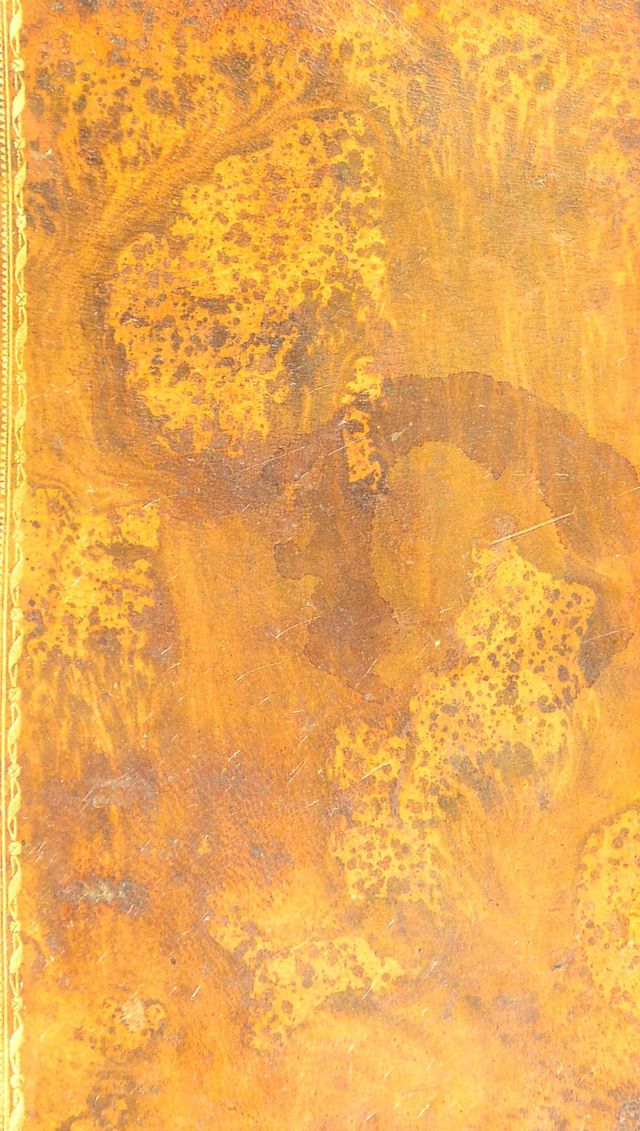 No text description is available for this image