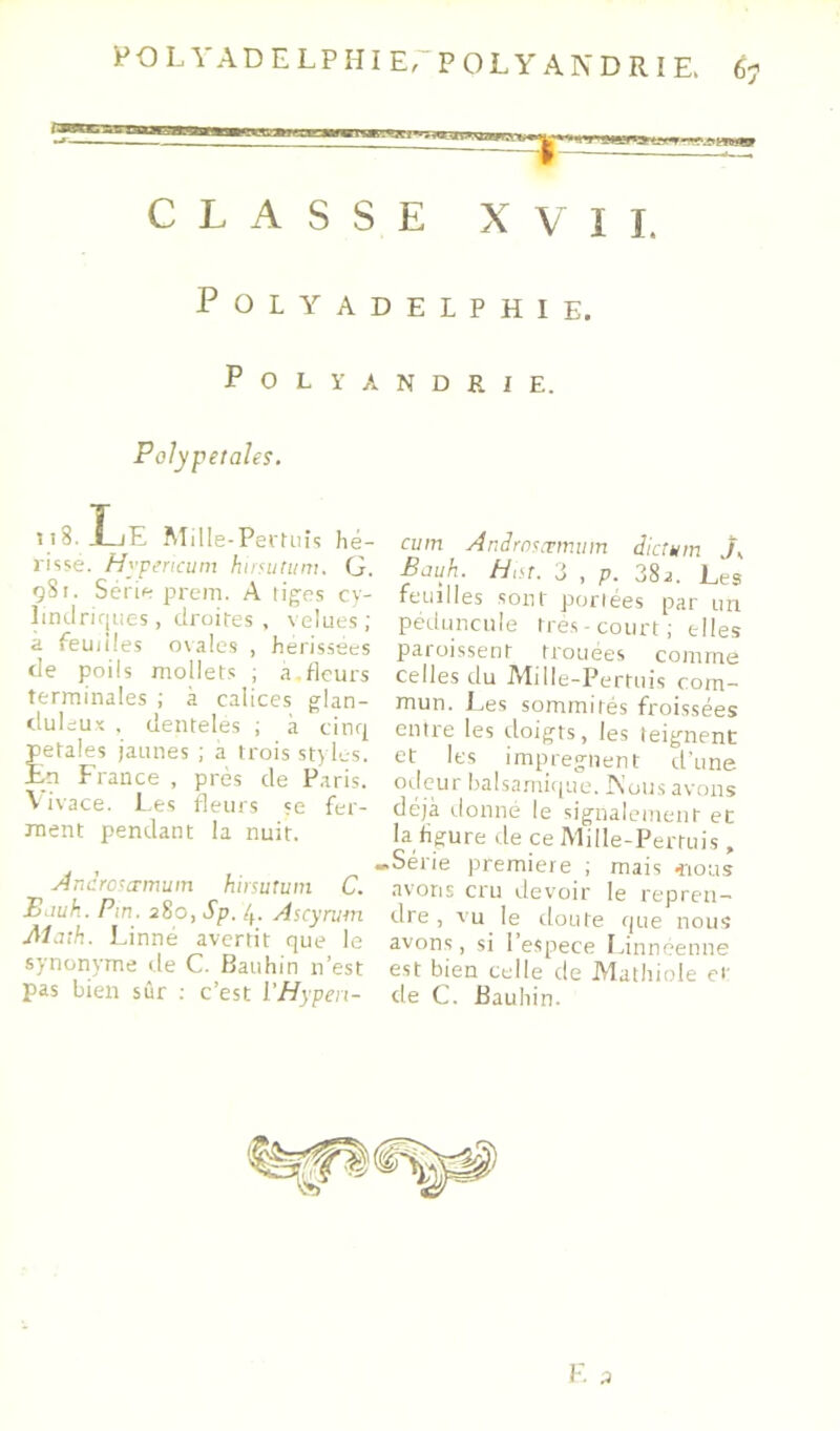 POLYADELPHIErPOLYANDRIE. CLASSE XVII. POLYADELPHIE. Polyandrie. Polypetales. n8. Le Mille-PerUiis hé- risse. Hypencum huHitum. G. 98 t. Série prem. A tiges cy- lindriques, droites, velues; a feuilles o\ales , hérissées de poils mollets ; a.Heurs terminales ; à calices glan- duleux . denteles ; à cinq petales jaunes ; a trois styles. En France , près de Paris. \ ivace. Les fleurs se fer- ment pendant la nuit. Androsamum hirsuîum C. Bduk. Pm. 280, Sp. 4. Ascyrum Math. Linné avertit que le synonyme de C. Baiihin n’est pas bien sûr ; c’est VHypert- cvm AnJrnsæmum dictum J, Bauh. Hdt. 3 , p. 38a. Les feuilles sont portées par un péduncule très-court; elles paroissent trouées comme celles du Mille-Pertuis com- mun. Les sommités froissées entre les doigts, les teignent et les imprègnent d'une e>deur balsamique. INous avons déjà donné le signalement et la figure de ce Mille-Pertuis , .Série première ; mais 4ioas avons cru devoir le repren- dre , vu le doute que nous avons, si l’espece Linnéenne est bmn celle de Mathiole ei- de C. Bauhin. F.