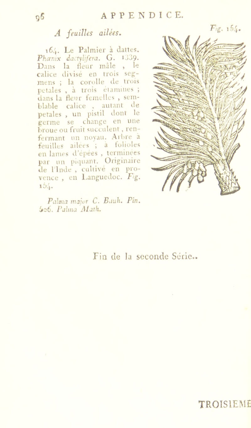 95 APPENDICE. A feuilles ailées. A6.',. Le Palmier à dattes. Phanix dactyhfem. G. >o39. Dans la llenr mâle , le calice divisé en trois seg- mens ; la corolle de trois pC'tales , à trois éiammes ; dans la Henr femelles , sem- blable calice , autant de petales , un pistil ilont le germe se change en une IiroLie ou fruit succulent , ren- fermant un noyau. Arbre à feuilles adees ; à folioles en lames il’épées , terminées par un piquant. Originaire de 1 Inde , cultivé en Pro- vence , en Languedoc. Fig. PaJtua maior C. Buuh. Pin. ieô. Palma Aluth. Fin de la seconde Série.. TROISIEIME