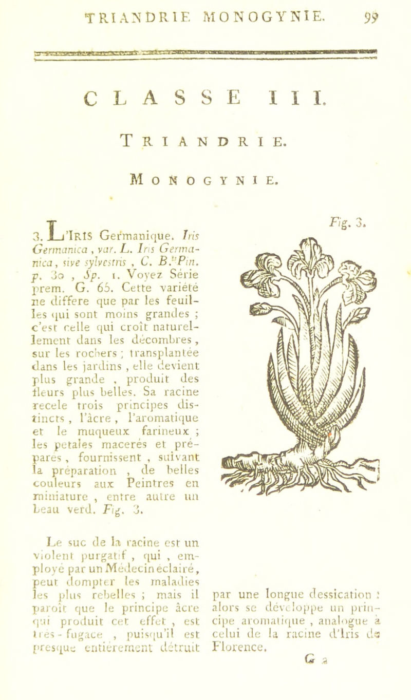 en CLASSE III. Triandrie. M O N O G Y N I E. 3. 1_i’IrIS Germanique. Iris Oermamca , var. L. Ins Gerwa- nica, sive sylvestris , C. B}’Pin. p. o3 , Sp. I. Voyez Série prem. G. 65. Cette -variété ne différé que par les feuil- les qui sont moins grandes ; c’est relie qui croît naturel- lement dans les décombres , sur les rochers; transplantée dans les jardins , elle devient plus grande . produit des tleurs plus belles. Sa racine recele trois principes dis- tincts , l’àcre , l’aromatique et le muqueux farineux ; les petales macérés et pré- pares , fournissent , suivant la préparation , de belles couleurs aux Peintres en miniature , entre autre un beau verd. Eig. 3. I.e suc de la racine est un violent purgatif , qui , em- ployé par un Médecin éclairé, peut tlompter les maladies les plus rebelles ; mais il pjaroit que le principe âcre rjui produit cet effet , est Il es-fugace , puisqu’il est [iresque tiitifierncm détruit Fig. 3. par une longue dessication : alors se dcvi loppe un prin- cipe aroniali([ue , analogue à celui de la r.'icine d'iris ds î'iorence.