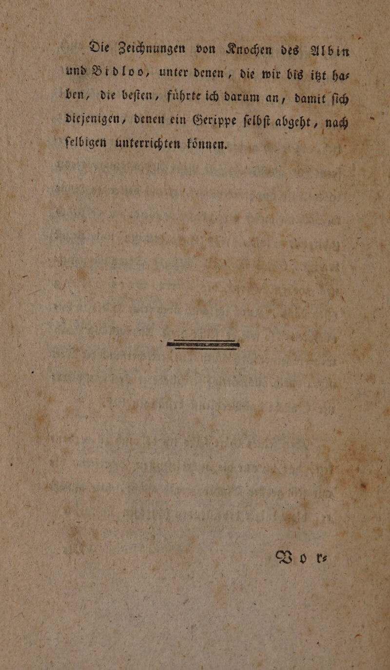 ben die beſten, fuͤhrte ich darum an, damit ſich diejenigen, denen ein Gerippe ſelbſt abgeht, nac ſelbigen e e koͤnnen.