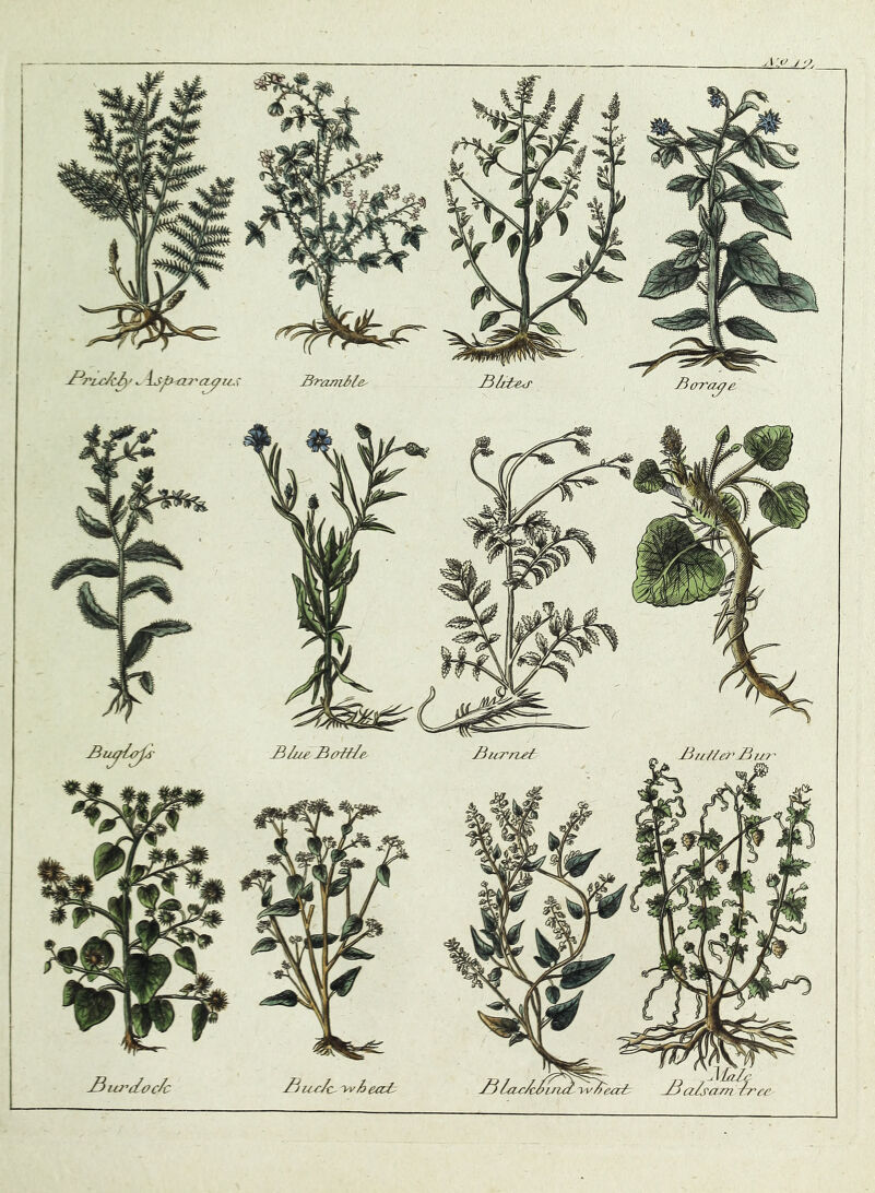 -Prix/c^’^ LsJtHi7'c^i jBufief'jBu? ?am tTc/i BLdc/u