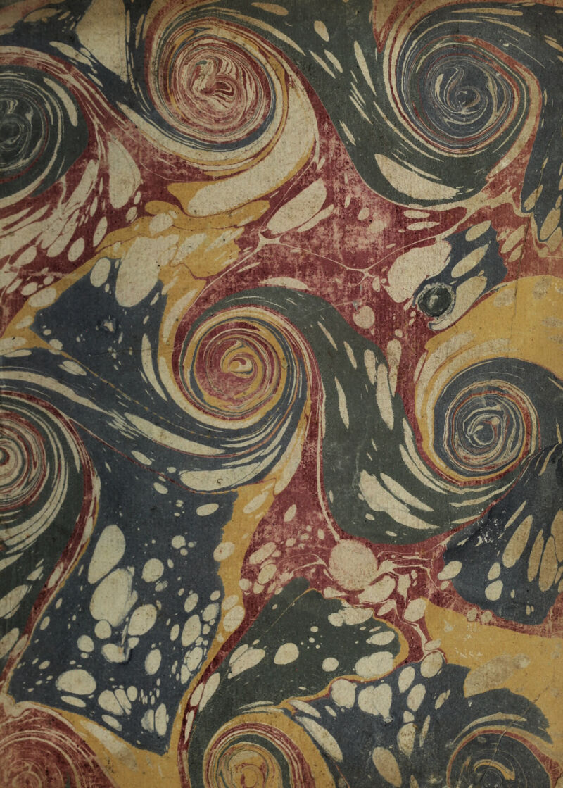 No text description is available for this image