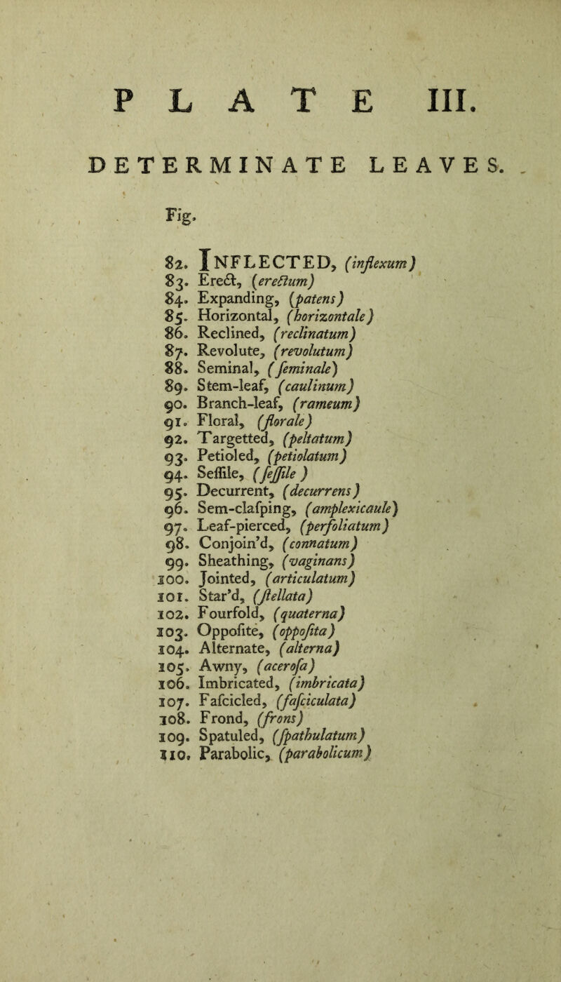 p LATE III DETERMINATE LEAVES, Fig, 82. Inflected, (mjiexum) 83. Ere&, [eredum) 84. Expanding, [patens) 85. Horizontal, (horizontale) 86» Reclined, (reclinatum) 87. Revolute, (revolutum) 88. Seminal, (feminale) 89. Stem-leaf, (caulinum) 90. Branch-leaf, (rameum) gio Floral, (for ale) 92. Targettea, (peltatum) 93. Petioled, (petiolatum) 94. Seffile, (fejjile ) 95. Decurrent, (decurrens) 96. Sem-clafping, (amplexicaule) 97« Leaf-pierced, (perfoliatum) 98. Conjoin’d, (connatum) 99. Sheathing, (vaginans) 100. Jointed, (articulatum) 301. Star’d, (Jlellata) 102. Fourfold, (quaterna) 103. Oppofite, (oppofita) 304. Alternate, (alterna) 105. Awny, (acerofa) 106. Imbricated, (imbricata) 107. Fafcicled, (fajciculata) 308. Frond, (frons) 109. Spatuled, (fpathulatum) 110» Parabolic, (parabolicum)