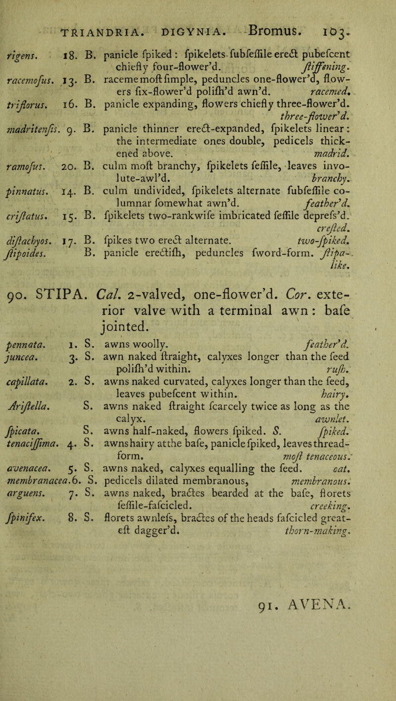 racemofus. J3- B. triforus. 16. B. madritenfis. 9. B. ramofus. 20. B. pinnatus. *4- B. criftatus. x5- B. diflachyos. *7- B. fipoides. B. TRIANDRIA. DIGYNIA. BromUS. IO3. chiefly four-flower’d. Jliffming. racememoftAmple, peduncles one-flower’d, flow- ers flx-flower’d polifh’d awn’d. racemed. panicle expanding, flowers chiefly three-flower’d. three-flow er'd. panicle thinner eredt-expanded, fpikelets linear: the intermediate ones double, pedicels thick- ened above. madrid. culm moft branchy, fpikelets feflile, leaves invo- lute-awl’d. branchy, culm undivided, fpikelets alternate fubfeflile co- lumnar fomewhat awn’d. feather'd, fpikelets two-rankwife imbricated feflile deprefs’d. crejled, fpikes two eredt alternate. two-fpiked, panicle eredtifli, peduncles fword-form. Jlipa~. like. go. STIPA. Cal. 2-valved, one-flower’d. Cor, exte- rior valve with a terminal awn: bafe jointed. pennata. I. S. juncea. 3- S. capillata. 2. s. Arijlella. s. fpicata. s. tenacijfima. 4* s. avenacea. 5- s. membranacea. 6. s. arguens. 7* s. fpinifex. 8. s. awns woolly. feather'd. awn naked ftraight, calyxes longer than the feed polifh’d within. rujh, awns naked curvated, calyxes longer than the feed, leaves pubefcent within. hairy• awns naked ftraight fcarcely twice as long as the calyx. awnlet. awns half-naked, flowers fpiked. S. fpiked, awns hairy atthe bafe, panicle fpiked, leaves thread- form. mojl tenaceous: awns naked, calyxes equalling the feed. cat. pedicels dilated membranous, membranous. awns naked, bradtes bearded at the bafe, florets feflile-fafcicled. creeking, florets awnlefs, bradtes of the heads fafcicled great- eft dagger’d. thorn-making. 91. AVENA.