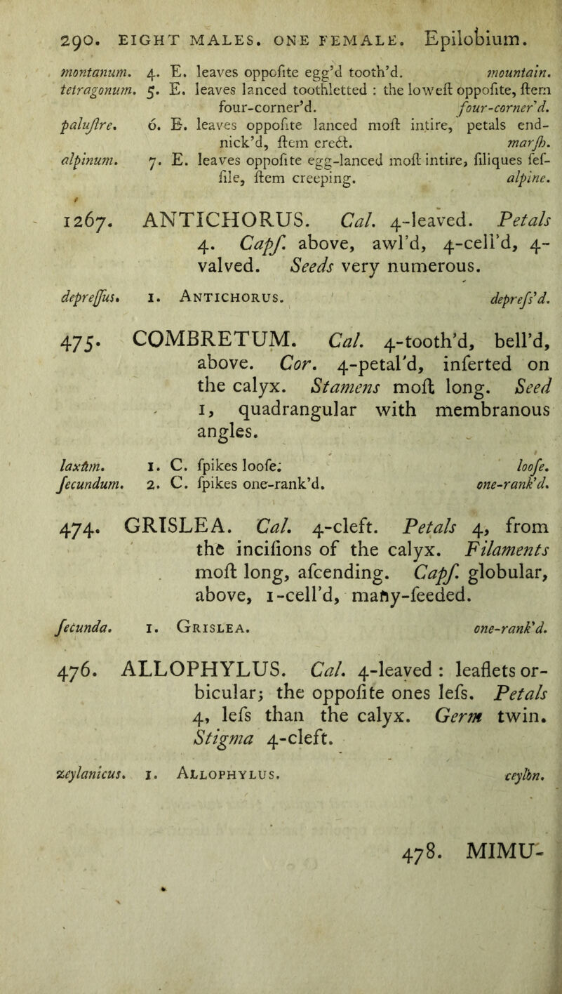 montanum. 4. E. leaves oppofite egg’d tooth’d. mountain. tetragonum. 5. E. leaves lanced toothletted : the lowed oppofite, ftern four-corner’d. four-corner'd. palufire. 6. E. leaves oppofite lanced mod intire, petals end- nick’d, dem eredt. marjh. alpinum. 7. E. leaves oppofite egg-lanced mod intire, filiques fef- file, dem creeping. alpine. t 1267. ANTICHORUS. Cal. 4-leaved. Petals 4. Capf. above, awl’d, 4-ceird, 4- valved. Seeds very numerous. deprefliu. 1. Antichorus. deprefsd. 4 75. COMBRETUM. Cal. 4-tooth’d, bell’d, above. Cor. 4-petal'd, inferted on the calyx. Stamens mod long. Seed 1, quadrangular with membranous angles. laxtim. 1. C. fpikes loofe; loofe. fecundum. 2. C. fpikes one-rank’d. one-rank’d. 474. GRISLEA. Cal. 4-cleft. Petals 4, from the incifions of the calyx. Filaments mod: long, afcending. Capf. globular, above, 1 -cell’d, mafty-feeded. fecunda. i. Grislea. one-rank'd. 476. ALLOPHYLUS. Cal. 4-leaved: leaflets or- bicular; the oppofite ones lefs. Petals 4, lefs than the calyx. Germ twin. Stigma 4-cleft. zeylanicus. 1. Allophylus. ceylbn. 478. MIMU-