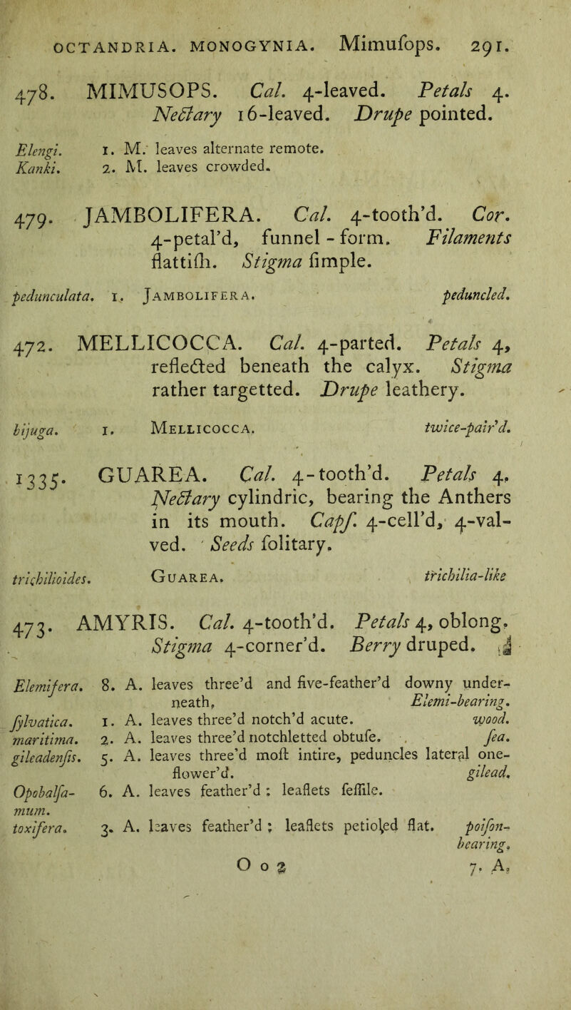 478. MIMUSOPS. Cal. 4-leaved. Petals 4. Netfary 16-leaved. Drupe pointed. Elengi. i. M. leaves alternate remote. Kanki. 2. M. leaves crowded. 479. JAMBOLIFERA. Cal. 4-tootifd. Cor. 4-petal’d, funnel - form. Filaments flattifh. Stigma Ample. pedunculata. i? Jambolifera. peduncle d. 472. MELLICOCCA. Cal. 4-parted. Petals 4, refleded beneath the calyx. Stigma rather targetted. Drupe leathery. bijuga. 1. Mellicocca. twice-paird. 1335. GUAREA. Cal. 4-tooth’d. Petals 4, NeElary cylindric, bearing the Anthers in its mouth. Cap/. 4-cell’d, 4-val- ved. *Seeds folitary. trichUioides. Guarea. trichilia-liks 473. AMYRIS. Cal. 4-tootlfd. Petals 4, oblong. Stigma 4-corner’d. Berry druped. , J Elemifera. fylvatica. maritima. gileadenfis. Opohalfa- mum. toxfera. 8. A. leaves three’d and five-feather’d downy under- neath, Elemi-bearing. 1. A. leaves three’d notch’d acute. vyood. %. A. leaves three’d notchletted obtufe. fea. 5. A. leaves three’d moft intire, peduncles lateral one- flower’d. gilead. 6. A. leaves feather’d : leaflets feflile. 3. A. haves feather’d ; leaflets petio^d flat. poifon- bearing» O o 3 7. A.