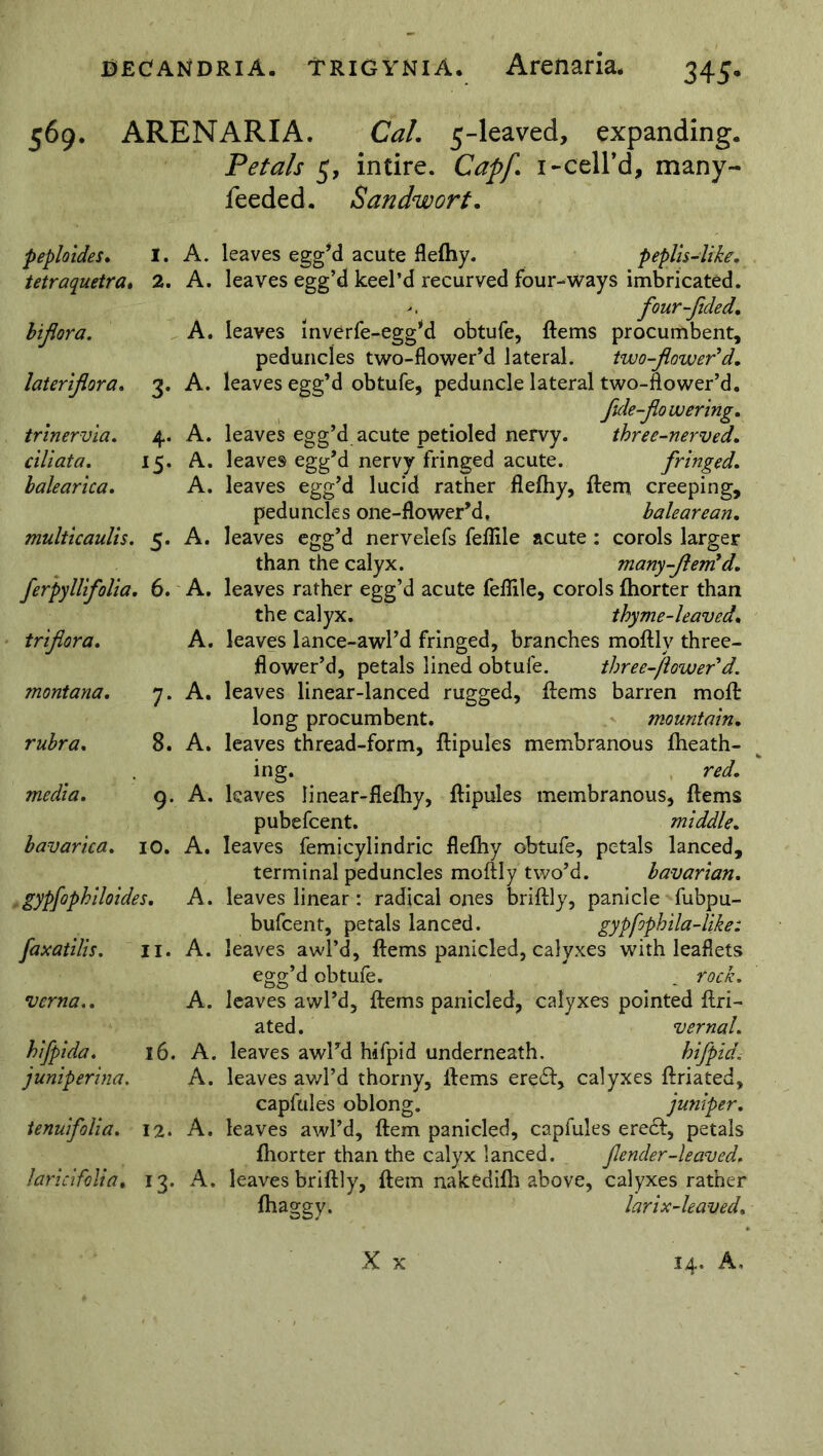 569. ARENARIA. Petals 5; feeded. Cal. 5-leaved, expanding, intire. Capf. 1-cell’d, many- Sandwort. peploides• 1. A. tetraquetra» 2. A. biflora. A. lateriflora. 3. A. trinervia. 4. A. ciliata. 15. A. balearica. A. multicaulis. 5. A. ferpyllifolia. 6. A. tr flora. A. montana. 7. A. rubra. 8. A. media. g. A. bavarica. 10. A. . gypfophiloides. A. faxatilis. 11. A. verna.. A. hifpida. 16. A. juniperina. A. tenuifolia. 12. A. larici folia. 13. A. leaves egg’d acute fleihy. peplis-like. leaves egg’d keel’d recurved four-ways imbricated. four-flded. leaves inverfe-egg’d obtufe, items procumbent, peduncles two-flower’d lateral. two-flower* d. leaves egg’d obtufe, peduncle lateral two-ftower’d. fide-flowering. leaves egg’d acute petioled nervy. three-nerved. leaves egg’d nervy fringed acute. fringed. leaves egg’d lucid rather fleihy, item creeping, peduncles one-flower’d, balearean. leaves egg’d nervelefs feilile acute : corols larger than the calyx. many-flem'd. leaves rather egg’d acute feilile, corols ihorter than the calyx. thyme-leaved. leaves lance-awl’d fringed, branches moftly three- flower’d, petals lined obtufe. three-flower d. leaves linear-lanced rugged, items barren moil long procumbent. mountain. leaves thread-form, itipules membranous iheath- ing. red. leaves linear-flefhy, itipules membranous, items pubefcent. middle. leaves femicylindric fleihy obtufe, petals lanced, terminal peduncles moftly two’d. bavarian. leaves linear : radical ones briftly, panicle fubpu- bufcent, petals lanced. gypfophila-like: leaves awl’d, items panicled, calyxes with leaflets egg’d obtufe. . rock. leaves awl’d, items panicled, calyxes pointed ftri- ated. vernal. leaves awl’d hifpid underneath. hifpid. leaves awl’d thorny, items eredt, calyxes ftriated, capfules oblong. juniper. leaves awl’d, item panicled, capfules eredt, petals ihorter than the calyx lanced. fender-leaved. leaves briftly, item nakediih above, calyxes rather ihao; gy- larix-leaved. 14. A,