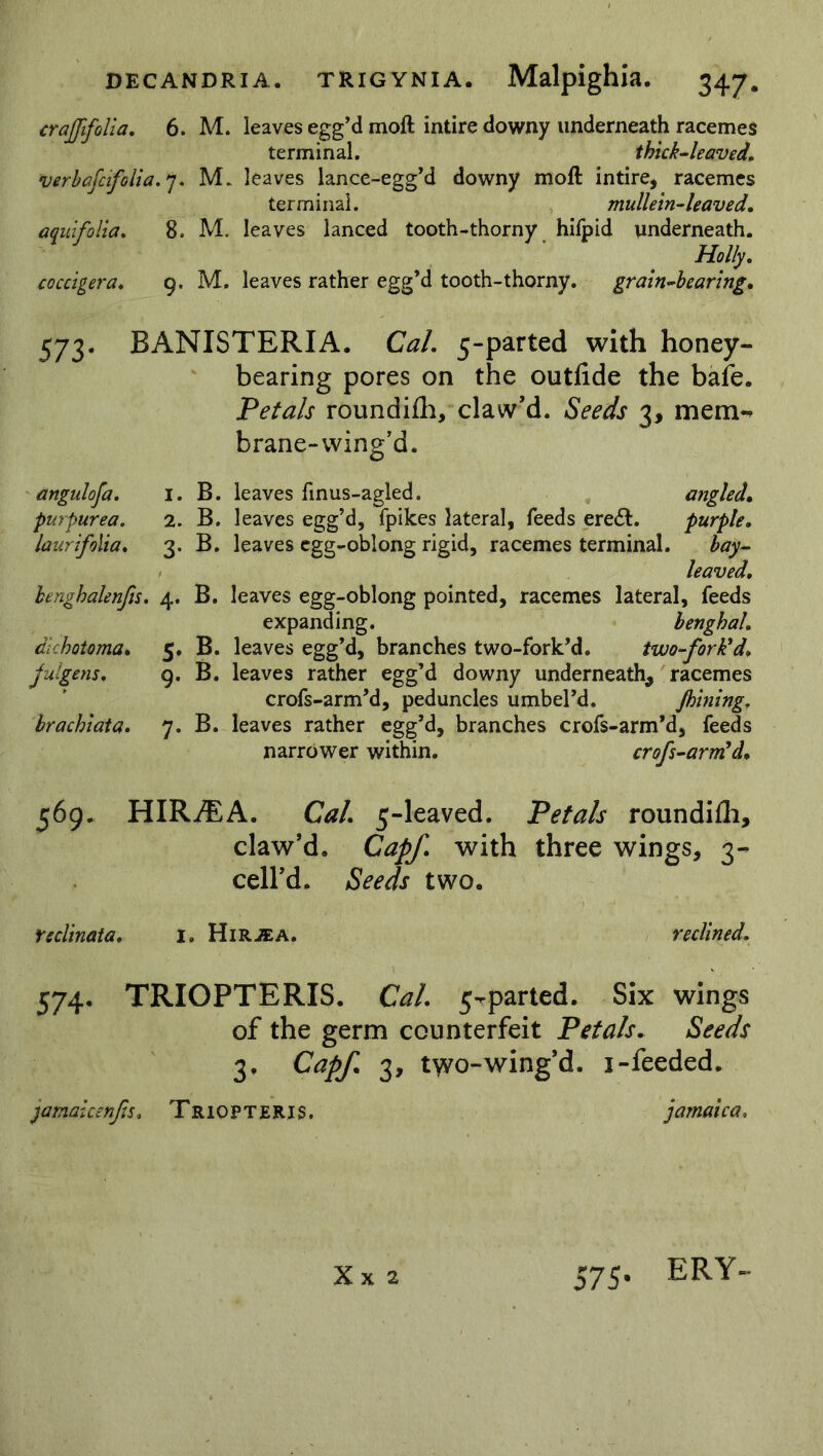 crajftfolia. 6. M. leaves egg’d moft intire downy underneath racemes terminal. thick-leaved, verbafcifolia.7. 3VL leaves lance-egg’d downy moft intire, racemes terminal. mullein-leaved, aquifolia. 8. M. leaves lanced tooth-thorny hifpid underneath. Holly, coccigera. 9. M. leaves rather egg’d tooth-thorny. grain-bearing. 573. BANISTERIA. Cal. 5-parted with honey- bearing pores on the outfide the bafe. Petals roundifh, claw’d. Seeds 3, mem-* brane-wing’d. angulofa. I. B. leaves finus-agled. angled. purpurea, 2. B. leaves egg’d, fpikes lateral, feeds eretft. purple, laurifolia. 3. B. leaves egg-oblong rigid, racemes terminal. bay- leaved, benghalenfis. 4. B. leaves egg-oblong pointed, racemes lateral, feeds expanding. benghal, dichotoma. 5. B. leaves egg’d, branches two-fork’d. two-fork'd, julgens, 9. B. leaves rather egg’d downy underneath, racemes crofs-arm’d, peduncles umbel’d. Jhining, brachiata. 7. B. leaves rather egg’d, branches crofs-arm’d, feeds narrower within. crop-arm'd, 569. HIRjEA. Cal. 5-leaved. Petals roundifh, claw’d. Capf. with three wings, 3- cell’d. Seeds two. reclinata. I, Hirjea. reclined. 574. TRIOPTERIS. Cal. 5-rparted. Six wings of the germ counterfeit Petals. Seeds 3. Capf. 3, tyvo-wing’d. i-feeded. jamaicenfts, Triopteris. jamaica. Xx 2 575. ERY-