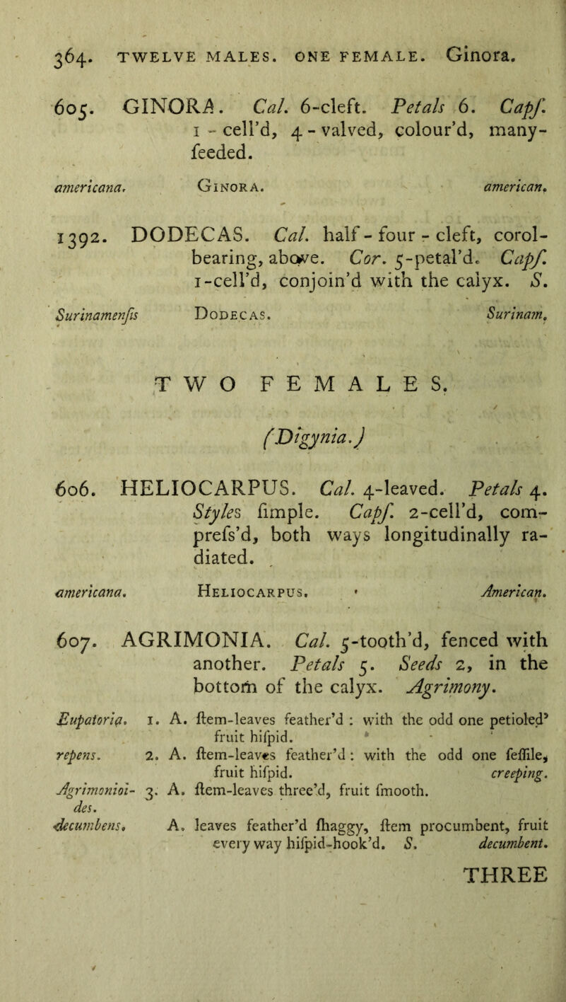 605. GINORA. Cal. 6-cleft. Petals 6. Capf. 1 • cell’d, 4 - valved, colour’d, many- feeded. americana. Ginora. american. 1392. DODECAS. Cal. half - four - cleft, corol- bearing, abcwe. Cor. 5-petal’dc Capf. 1-cell’d, conjoin’d with the calyx. S. Surinamenfis Dodecas. Surinam. TWO FEMALES. / (Di gynia.J 606. HELIOCARPUS. Cal. 4-leaved. Petals 4. Styles fimple. Capf. 2-cell’d, com- prefs’d, both ways longitudinally ra- diated. americana. Heliocarpus. * American. 607. AGRIMONIA. Cal. 5-tooth’d, fenced with another. Petals 5. Seeds 2, in the bottom of the calyx. Agrimony. Eupatoria. 1. A. item-leaves feather’d: with the odd one petioled5 fruit hifpid. * repens. 2. A. item-leaves feather’d : with the odd one feflile, fruit hifpid. creeping. Agrimonioi- 3, A. item-leaves three’d, fruit fmooth. des. 1decumbens, A. leaves feather’d ihaggy, item procumbent, fruit every way hifpid-hook’d. S, decumbent. THREE