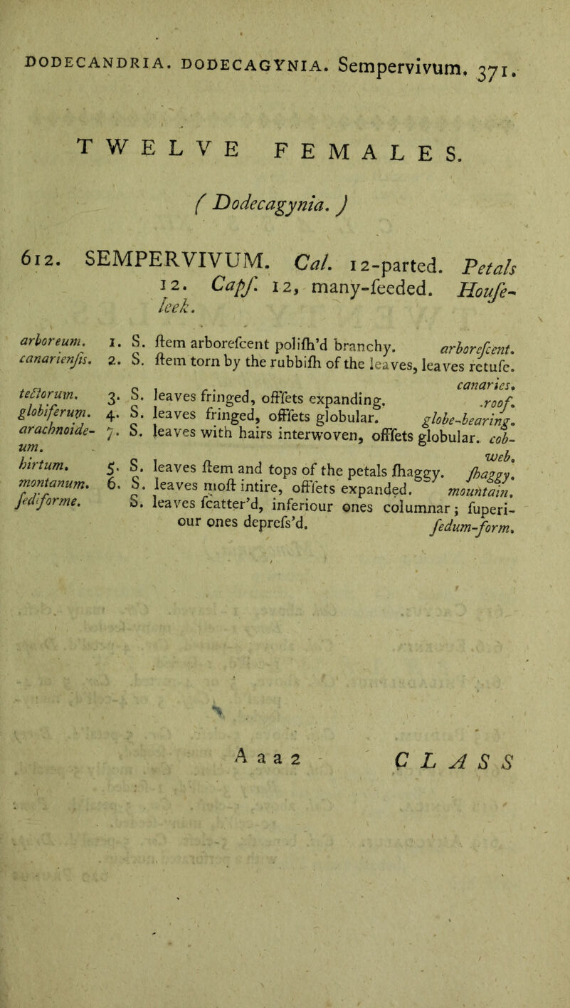 TWELVE FEMALES. ( Dodecagynia.) 612. SEMPERVIVUM. Cal. arboreum, canarienfis. tefforum. globifer urn. arachnoide- um. hirtum. montanum. fed'fo ea i for me. S. s. s. s. s. S' S. 6. S. s. 12-parted. Petals 12. Cap/, iz, many-feeded. Houfe- leek. ftem arborefcent polifh’d branchy. arborcfcent. ftem torn by the rubbifli of the leaves, leaves retufc. , r. i canaries f leaves fringed, offifets expanding. .roof. leaves fringed, offifets globular. globe-bearing. leaves with hairs interwoven, offifets globular, cob- leaves ftem and tops of the petals fhaggy. flaggy. leaves moft intire, offifets expanded. mountain. leaves fcatter’d, inferiour ones columnar; fuperi- our ones deprefs’d. fedum-form. CLASS