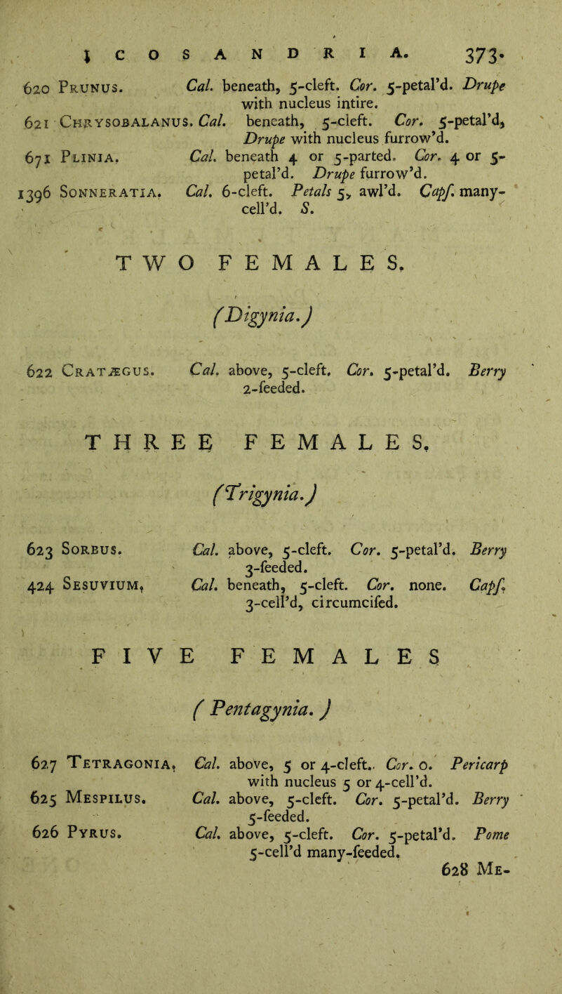 620 Prunus. Cal beneath, 5-cleft. Cor. 5-petal’d. Drupe with nucleus intire. 621 Chrysobalanus. Cal. beneath, 5-cleft. Cor. 5-petal’d, Drupe with nucleus furrow’d. 671 Plinia. Cal beneath 4 or 5-parted. Cor. 4 or 5- petal’d. Drupe furrow’d. 1306 Sonne rati a. Cal. 6-cleft. Petals 5, awl’d. Capf. many- cell’d. S. TWO FEMALES. (Digynia.) 622 Cratiegus. Cal. above, 5-cleft. Cor. 5-petal’d. Berry 2-feeded. THREE FEMALES, ( Trigynia.J < ■ l • I 623 Sorbus. Cal. above, 5-cleft. Cor. 5-petal’d. Berry 3-feeded. 424 Sesuvium, Cal. beneath, 5-cleft. Cor. none. Capf. 3-cell’d, circumcifed. FIVE FEMALES ( Pentagynia.) 627 Tetragonia. Cal. above, 5 or 4-cleft.. Cor. o. Pericarp with nucleus 5 or 4-cell’d. 625 Mespilus. Cal. above, 5-cleft. Cor. 5-petaPd. Berry 5-feeded. 626 Pyrus. Cal. above, 5-cleft. Cor. 5-petaPd. Pome 5-cell’d many-feeded. 62S Me-