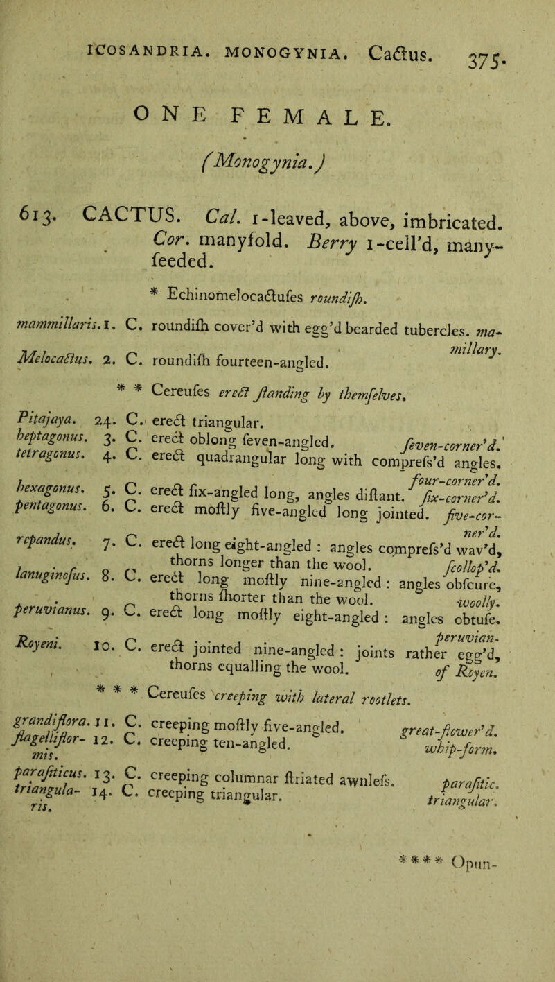 ONE FEMALE. (Monogynia.) 613. CACTUS. Cal. 1-leaved, above, imbricated. Cor. manyfold. Berry 1-cell’d, many- feeded. * Echinomeloca&ufes roundijh. mammillaris, l, C. roundifh cover’d with egg’d bearded tubercles. ma~ Melocaftus. 2. C. roundifh fourteen-angled. * * Gereufes ereSf flanding by themfelves. Piiajaya. 24. C. ere# triangular. \frZ7; 3- C. ereA oblong feven-angled. /even-corner’d.' tetragonus. 4. C. erect quadrangular long with comprefs’d angles. hexagonus. 5. C. ereA fix-angled long, angles diftantffixZrnl/i pentagonus. 6. C. ereA moftly five-angled long jointed, five-cor- rcpandus. 7. C. ereA long eight-angled : angles comprefs’d wav’di 7 . r ' ^ thorns longer than the wool. fcolWd. lanugincfus. 8. C. ereA long moftly nine-angled: angles obfcure, . . „ thorns fhorter than the wool. woolly, peruvianus. 9. C. ereA long moftly eight-angled : angles obtufe. Royem. 10. C. ereA jointed nine-angled : joints rather thorns equalling the wool. of Royen. % * * Cereufes creeping with lateral rootlets. great-flower'd, whip-form. grandiflora. ji. C. creeping moftly five-angled. flagelliflor- 12. C. creeping ten-angled. mis. parafiuus. 13. C. creeping columnar ftriated awnlefs. parafitic triangula- 14. C. creeping triangular. ”J ns. triangular. **** Optm-