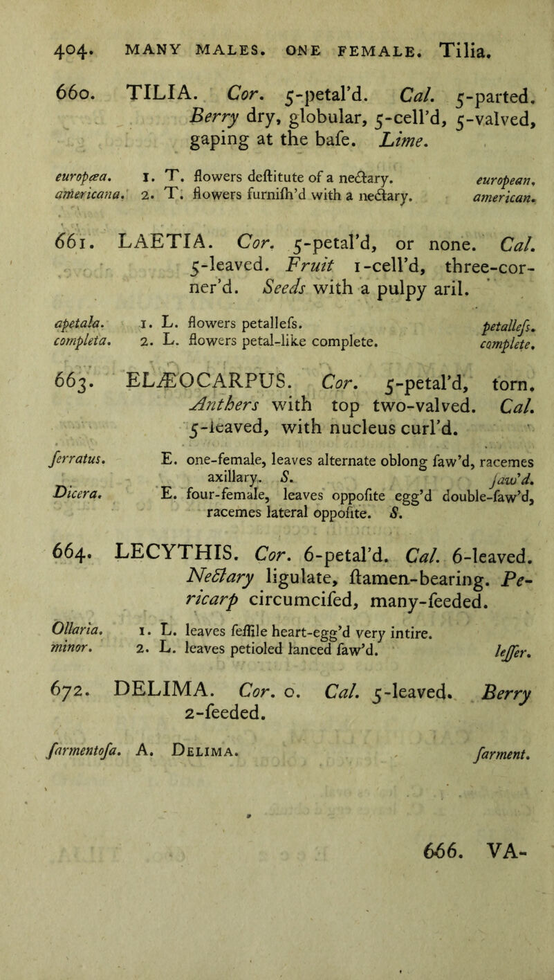 660. TILIA. Cor. 5-petard. Cal. 5-parted. Berry dry, globular, 5-cell’d, 5-valved, gaping at the bafe. Lime. europeea. 1. T. flowers deftitute of a ne&ary. european. americana. 2. T. flowers furnifh’d with a ne&ary. american. 661. LAETI A. Cor. 5-petard, or none. Cal. 5-leaved. Fruit 1-cell’d, tbree-cor- ner’d. Seeds with a pulpy aril. apetala. completa. 663. ferratus. Dicera. 1. L. flowers petallefs. 2. L. flowers petal-like complete. petallefs. complete. ELiEOCARPUS. Cor. 5-petal’d, torn. Anthers with top two-valved. Cal'. 5-icaved, with nucleus curl’d. E. one-female, leaves alternate oblong faw’d, racemes axillary,. S. Jaw'd. E. four-female, leaves oppofite egg’d double-faw’d, racemes lateral oppofite. S. 664« LECYTHIS. Cor. 6-petal’d. Cal. 6-leaved. Nectary ligulate, ft amen-bearing. Pe- ricarp circumcifed, many-feeded. Ollaria. minor. 1. L. leaves feflile heart-egg’d very intire. 2. L. leaves petioled lanced faw’d. leffer. 672. DELIMA. Cor. o. Cal. 5-leaved. Berry 2-feeded. farmentofa. A. Delima. farment. 666. VA-