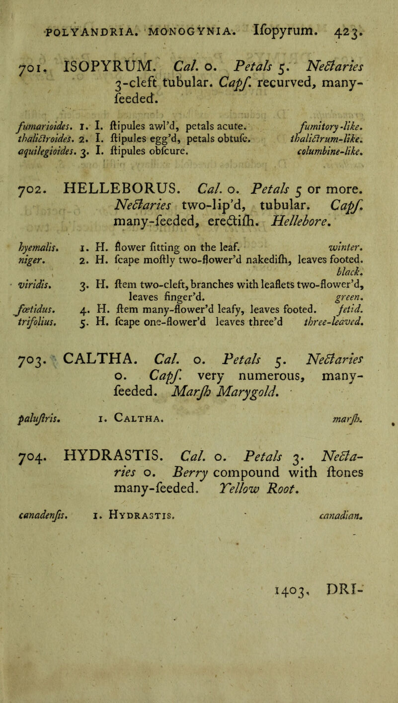 701, ISOPYRUM. Cal. o. Petals 5. Nectaries 3-cleft tubular. Capf. recurved, many- feeded. fumarioides. I. I. ftipules awl’d, petals acute. fumitory-like» thalittroides. 2. I. ftipules egg’d, petals obtufe. thaliftrum-like. aquilegioides. 3. I. ftipules obfcure. columbine-like. 702. HELLEBORUS. CaL o. Petals 5 or more. Nettaries two-1 ip’d, tubular. Capf many-feeded, eredlifh. Hellebore. hy emails» niger. viridis. Jaetidus. trifolius. 1. H. flower fitting on the leaf. winter. 2. H. fcape moftly two-flower’d nakedifh, leaves footed. 3. H. ftem two-cleft, branches with leaflets two-flower’d, leaves finger’d. green. 4. H. ftem many-flower’d leafy, leaves footed. fetid. 5. H. fcape one-flower’d leaves three’d three-leaved. 7°3- CALTHA. CW. 0. Petals 5. Ne51 aries 0. Capf. very numerous, many- feeded. Marfh Mary gold. paluftrh. 1. Caltha. marfh. 7°4- HYDRASTIS. CW. 0. 3. r/Vj* 0. Berry compound with many-feeded. Yellow Root. Ne5la- Rones canadenfts. 1. Hydrastis. Canadian. 1403, DRT-