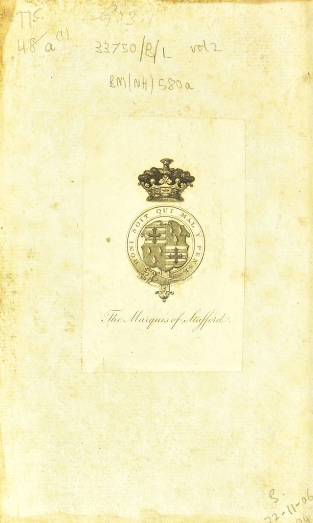 digitised image 2