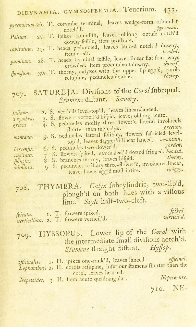 pyrenaicum.26, T. corymhe terminal, leaves wedge-form orbiculai: Py Pyrenean Polium. 27. T. fpikes roundilh, leaves oblong obtufe notch d downy feffile, ftem proftrate. capitaium. 29. T. heads peduncled, leaves lanced notch’d downy, ^ ^ ifem erect. ^ ^^^ded. pumilum. 2b. T. heads terminal feffile, leaves linear flat four ways crowded, ftem procumbent downy. awarj. ftinofum. 2C. T. thorny, calyxes with the upper lip egg’d, corols y refupine, peduncles double. thorny. SATUREJA. Divifions of the C^?r(?/fubequal. Stamens diftant. Savory. 707. Juliana. Thymbra. grcsca. montana. hortenfis. capitata. fpinofa. viminea. 2. 3 4 S. verticils level-top’d, leaves linear-lanced. S. flowers verticil’d hifpid, leaves oblong acute. S. peduncles moftly three-flower’d lateral involucels fhorter than the calyx. greaan, e. S. peduncles lateral folitary, flowers fafcicled level- top’d, leaves dagger’d linear lanced, inountain. 6. S. peduncles two-flower’d. 1 ^7* / 7. S. flowers fpiked, leaves keel’d dotted fringed, headed. S. S. branches thorny, leaves hifpid. _ thorny. q. S. peduncles axillary three-flower’d, involucres linear, leaves lance-egg’d moft intire. it.viggy. 708. THYMBRA. Calyx fubcylindric, two-bp’d, ^ ’ plough’d on both lides with a villous line. Style balf-two^cleft. [picata. I. T. flowers fpiked. verticillata. 2. T. flowers verticil d. fpihed. verticiP d. 709. HYSSOPUS. Lower lip of the Carol with the intermediate fmall divifions notch d. Stamens flraight difl.ant. officinalis. I. H. fpikes one-rank’d, leaves lanced officinal. Lophanthus. 2. H. corols refupine, interiour ftamens fhorter than the corol, leaves hearted. Nepetoides. g. H. ftem acute quadrangular. Nepeia-like.