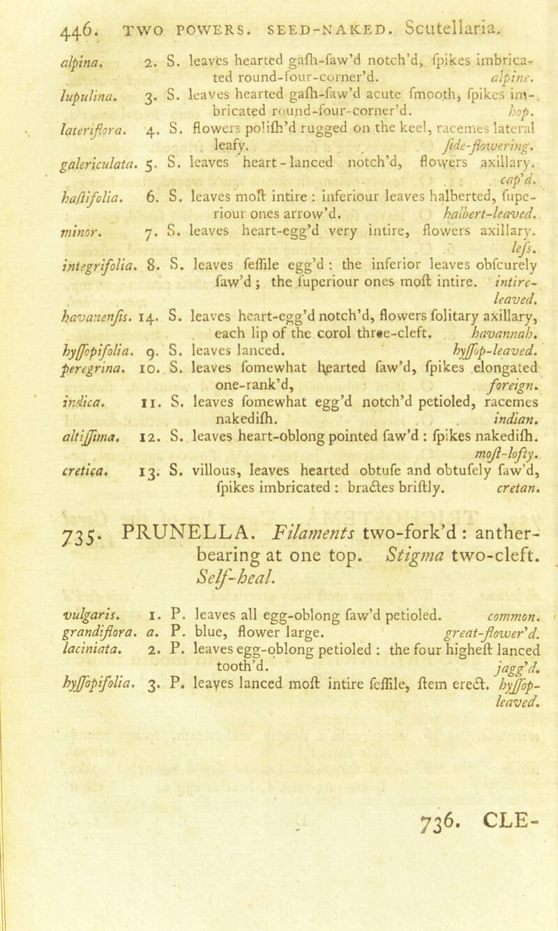 alpina. 1. S. leaves hearted gafli-faw’d notch’d, fpikes imbrica- ted round-four-corner’d. alpine, lupullna. 3. S. leaves hearted gafh-faw’d acute fmooth, fpikes im-. bricated roujid-four-corner’d. hop. laterifora. 4. S. flowers polifli’d rugged on the keel, racemes lateral leafy. ^ fide-flowering, galericulata. S. leaves heart-lanced notch’d, flovyers axillary. cap'd. haflifolia. 6. S. leaves moll: intire : Inferiour leaves halherted, fupe- riour ones arrow’d. halbert-leaved, minor. 7. S. leaves hcart-egg’d very intire, flowers axillary. lefs. integrifolia. 8. S, leaves feflile egg’d ; the inferior leaves obfeurely faw’d ; the fuperiour ones moft intire, intire- leaved. havanenfis, 14. S. leaves heart-egg’d notch’d, flowers folitary axillary, , each lip of the corol thr«e-cleft. havannah, hyfjopifolia. 9. S. leaves lanced. hyjfiop-leaved. peregrina. 10. S. leaves fomewhat hearted faw’d, fpikes elongated one-rank’d, • foreign, indica. ii. S. leaves fomewhat egg’d notch’d petioled, racemes nakedifli. . Indian, altijfima, 12. S. leaves heart-oblong pointed faw’d ; fpikes nakedifli. moji-lofty. cretica. 13. S. villous, leaves hearted obtufe and obtufely faw’d, fpikes imbricated : brailes briftly. Cretan. 735. PRUNELLA. two-fork’d : anther- bearing at one top. Stigma two-cleft. Self-heal, vulgaris. I. grandi flora. a. laciniata. 2. hyJfopifoUa. 3- P. leaves all egg-oblong faw’d petioled. common. P. blue, flower large. great-flower'd. P. leaves egg-oblong petioled ; the four highefl: lanced tooth’d. P. leaves lanced mofl: intire feflile, ftem ere»51. hyflbp- leaved. 736. CLE-