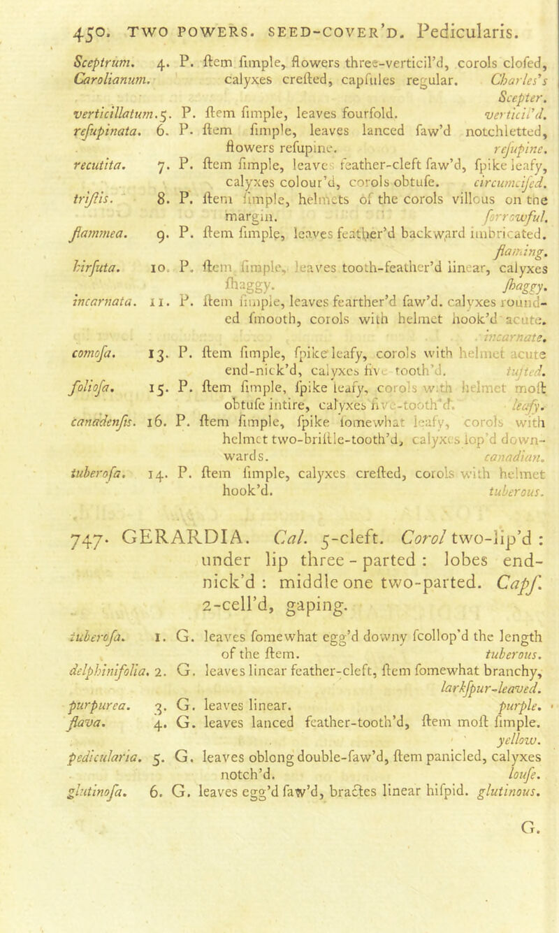 Sceptriwi. 4. Caroliamm.r verticillatutn.^. refupinata. 6. recutita. 7. \ trijiis. ■■ 8. Jiammea. 9. hirfuta. 10. incarnata, ii. comofa. 13. foliofa. 15. cancu^enfts. 16. tubero fa, 14. P. ftem.fimple, flowers three-verticil’d, corols clofed, ' calyxes crefted, capfiiles regular. Charles's Scepter. P. ftem fimple, leaves fourfold. vertkil'd. P. ftem fimple, leaves lanced faw’d notchletted, flowers refupine. refupine. P. ftem Ample, leaves feather-cleft faw’d, fpilce leafy, calyxes colour’d, corols obtufe. circumcifcd. P. ftem Ample, helmets of the corols villous on toe margin. ’ farr'.wful, P. ftem Ample, leaves feather’d backw,ard imbricated. flaming. P. ftem Ample,, leaves tooth-feathcr’d linear, calyxes ftiaggy. Jhaggy. P. ftem Ample, leaves fearther’d faw’d. calyxes round- ed fmooth, corols with helmet hook’d acute. incarnate. P. ftem Ample, fpike* leafy, corols with helmet acute end-nick’d, calyxes Avc tooth’d. tufted. P. ftem Ample, fpike leafy, corols w:th helmet moll obtufe intire, calyxes Ave-tooth^cT. • leafy. P. ftem Ample, fpike lomewhat leafy, corols with helmet two-briftle-tooth’d, calyxes iop’d down- wards. Canadian. P. ftem Ample, calyxes crefted, corols with helmet hook’d. tuberous. 747. GERARDIA. Cal. 5-cleft. Carol two-lip’d : under lip three - parted ; lobes end- nick’d : middle one two-parted. Capf. 2-cell’d, gaping. iuberofa. i. G. leaves fomewhat egg’d downy fcollop’d the length of the ftem. tuberous. delphinifoUa. 2. G. leaves linear feather-cleft, ftem fomewhat branchy, larkfpur-leaved. purpurea. 3. G. leaves linear. purple. • flava. 4. G. leaves lanced feather-tooth’d, ftem moll Ample. yelloiv. pedicularia. 5. G. leaves oblong double-faw’d, ftem panicled, calyxes notch’d. loufe. glntinofa. 6. G. leaves egg’d faw’d, bracles linear hifpid. glutinous. G.