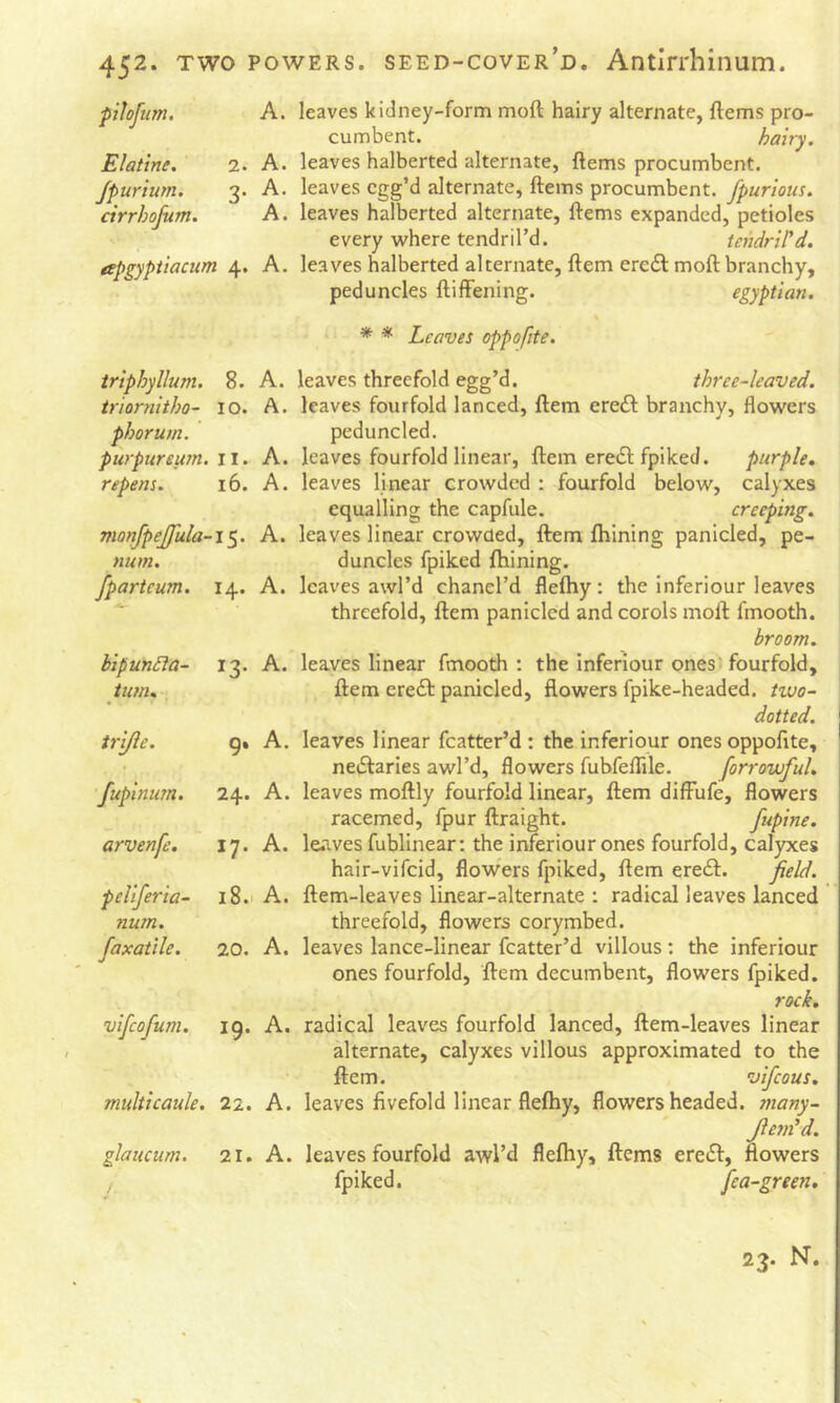 pilofim. Elatine. Jpurium. ctrrhojum. 2. 3- A. leaves kidney-form moft hairy alternate, ftems pro- cumbent. hairy. A. leaves halberted alternate, ftems procumbent. A. leaves egg’d alternate, ftems procumbent, fpurious. A. leaves halberted alternate, ftems expanded, petioles every where tendril’d. tendril'd. apgyptiacum 4. A. leaves halberted alternate, ftem ere6l moft branchy, peduncles ftifFening. egyptian. * * Leaves oppofite. triphyllum. 8. A. leaves threefold egg’d. three-leaved, triornitho- lO. A. leaves fourfold lanced, ftem ere£f branchy, flowers phorum. peduncled. purpursu7n.li. A. leaves fourfold linear, ftem ere«Sl fpiked. purple, reperis. 16. A. leaves linear crowded : fourfold below, calyxes equalling the capfule. creeping, monfpejfula-i^. A. leaves linear crowded, ftem ftiining panicled, pe- num. duncles fpiked ftiining. fparteum. 14. A. leaves awl’d chanel’d flefhy: the inferiour leaves threefold, ftem panicled and corols moft fmooth. broom. 13. A. leaves linear fmooth: the inferiour ones'fourfold, ftem ere£l: panicled, flowers fpike-headed. tzuo- dotted. g. A. leaves linear fcatter’d : the inferiour ones oppoflte, netftaries awl’d, flowers fubfeflile. forrowful. 24. A. leaves moftly fourfold linear, ftem diffufe, flowers racemed, fpur ftraight. fupine. 17. A. le-ives fublinear: the inferiour ones fourfold, calyxes hair-vifeid, flowers fpiked, ftem ereif. field. 18.1 A. ftem-leaves linear-alternate : radical leaves lanced threefold, flowers corymbed. 20. A. leaves lance-linear fcatter’d villous; the inferiour ones fourfold, ftem decumbent, flowers fpiked. rock. ig. A. radical leaves fourfold lanced, ftem-leaves linear alternate, calyxes villous approximated to the ftem. vifeous. multicaule. 22. A. leaves fivefold linear fleftiy, flowers headed, many- Jiem'd. glaucum. 21. A. leaves fourfold awl’d flefhy, ftems ereeft, flowers fpiked, fea-green. bipun£ia- tum. ti'ifle. fupinum. arvenfe. peliferia- num. Jaxatile. vifeofum. 23. N.