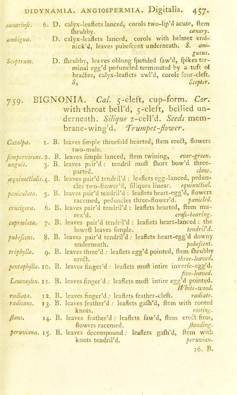 canar'wfe. 6. D. calyx-leaflets lanced, corols two-lip’d acute, ftcm ftirubby. canary, ambigua. D. calyx-leaflets lanced, corols with helmet encl- nick’d, leaves pubefcent underneath. S. am- guous, Scepirum. D. flirubbv, leaves oblong fpatuled faw’d, fplkes ter- minal egg’d peduncled terminated by a tuft of bra»ftes, calyx-leaflets awl’d, corols four-cleft. jS, Scepter, 759. BIGNONIA. Cal. 5-cleft, cup-form. Cor. with'throat bell’d, 5-cleft, bellied un- derneath, Silique 2-cell’d. Seeds mem- brane-wing’d. T’rmipet-jiower. Catalpa. i. B. leaves Ample threefold hearted. Item ere£f, flowers two-male. fempervirens.'i. B. leaves Ample lanced, ftem twining, ever-green. unguis. 3. B. leaves pair’d : tendril moft; fliort bow’d three- parted. clazv. esquhio£iiaUs,/s^. B. leaves pair’d tendril’d : leaflets egg-lanced, pedun- cles two-flower’d, Aliques linear. equhioSlial. paniculata. 5. B. leaves pair’d tendril’d ; leaflets heart-egg’d, flowers racemed, peduncles three-flower’d. panicled. crucigera. 6. B. leaves pair’d tendril’d : leaflets hearted, ftem mu- rex’d. crofs-bearing. (apreolata. 7. B. leaves pair’d tendril’d : leaflets heart-lanced ; the loweft leaves Ample. tendriSd. pubeffens. 8. B. leaves pair’d tendril’d ; leaflets heart-egg’d downy underneath. pubefcent. triphylla. 9. B. leaves three’d ; leaflets egg’d pointed, ftem ftirubby eredf. three-leaved, pentaphylla. lO. B. leaves Anger’d ; leaflets moft intire inverfe-egg’d. five-leaved. Leucoxylon. ii. B. leaves Anger’d ; leaflets moft intire egg’d pointed. White-wood. radiata. 12. B. leaves Anger’d; leaflets feather-cleft. radiate, radicans. 13. B. leaves feather’d ; leaflets gafti’d, ftem with rooted knots, rooting, fans. 14. B. leaves feather’d ; leaflets faw’d, ftem eredt Arm, flowers racemed. Jianding. peruviana. 15. B. leaves decompound; leaflets gafh’d, ftem with knots tendril’d. Peruvian. lb. B.