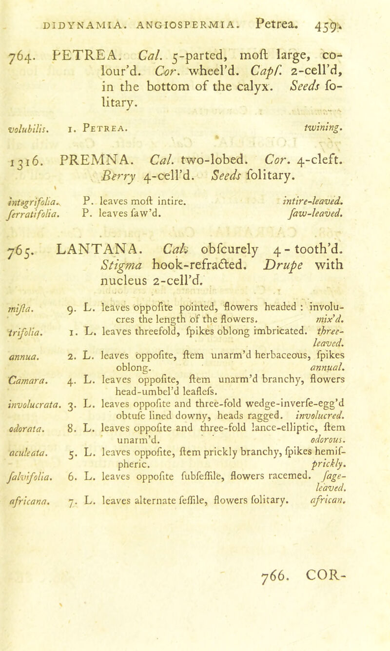 764. PETREA. Cal. 5-parted, moft large, co- lour’d. Cor. wheel’d. Capf. 2-cell’d, in the bottom of the calyx. Seeds fo- volubUis. I. Petrea. twining. 1316. PREMNA. Cal. two-lobed. Cor. 4-cleft. Berry 4-cell’d. Seeds folitary. \ InUgrtfoha.. P. leaves moft intire. mtire-leaved. ferratifolia. P. leaves faw’d. faw-leaved. 765. LANTANA. Cak obfcurely 4-tooth’d. Stigma hGok-refra6ted. Drupe with nucleus 2-ceH’d. mijla. trifolia. annua. Camara. involucrata. odorata. aculeata. faknfoUa. afrlcana. 9. L. leaves oppofite pointed, flowers headed : involu- cres the length of the flowers. mix’d. 1. L. leaves threefold, fpikes oblong imbricated, three- leaved. 2. L. leaves oppofite, ftem unarm’d herbaceous, fpikes oblong. annual. 4. L. leaves oppofite, ftem unarm’d branchy, flowers head-umbel’d leaflefs. 3. L. leaves oppofite and three-fold wedge-inverfe-egg’d obtufe lined downy, heads ragged, involucred. 8. L. leaves oppofite and three-fold lance-elliptic, ftem unarm’d. ' odorous. 5. L. leaves oppofite, ftem prickly branchy, fpikes hemif- pheric. prickly. 6. L. leaves oppofite fubfeflile, flowers racemed. fage- le'aved. y. L. leaves alternate feflile, flowers folitary. african. 766. COR-