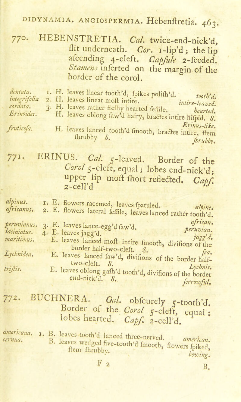 770. HEBENSTRETIA. Cal. twice-end-nick’d, flit underneath. Cor. i-Hp’d ; the lip afcending 4-cIcft. Capfule 2-feeded. Stajnens inferted on the margin of the border of the corol. deniata. integrifoUa cordata. Ervioides. r. 2. 3- H. leaves linear tooth’d, fpikes polic’d. uoth’d H. eaves linear moll intire. mtire-leavej. H. eaves rather fle% hearted feffile. /hearted. H. leaves oblong faw’d hairy, bradles intire hilpid. S. H. leaves lanced tooth’d fmooth ftirubby S. Erinus-like. , brailes intire, ftem jhruhby. 771. ERINUS. Cal. 5-leaved. Border of the Carol 5-cleft, equal; lobes end-nick’d; upper lip moft fliort refled:ed. Capf. 2-cell’d alpinus. africanus. pertivianus. laciniatus. maritimus. Lychnidea. trijlis. 1. 2. 3- 4- E. flovi^ers racemed, leaves fpatuled. ahine . flowers lateral feflile, leaves lanced rather tooth’d. E. leaves lance-egg’d faw’d E. leaves jagg’d. peruvwn E. leaves lanced moll intire fmooth, divlfions'^rffhe' border half-two-cleft. S. E. leaves lanced faw’d, divifions of the border half- two-cleft. S. L h ' E. leaves oblong gafh’d tooth’d, divifions of the hovZx forrotvfuh 772. BUCHNER A. Oal. obfeurely c-tooth’d Border of the C.../ 5-cU equal ! lobes hearted. Cap/. 2-cell’d. americana. cernua. 1. B. leaves tooth’d kneed three-nerved. amerkan ftcm^nlKhb;'^'''^ «“«-/piked; VQVJWg.