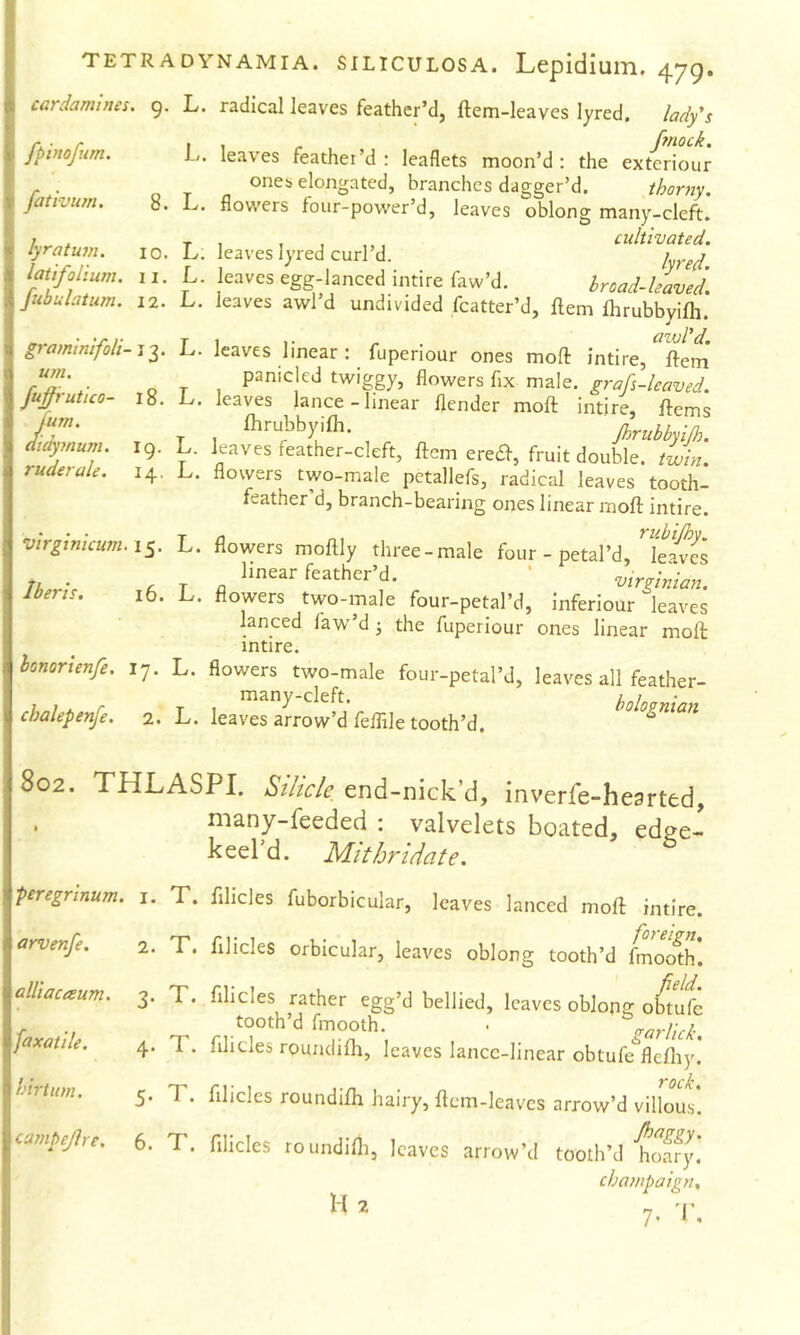 TETRADY cardamines. 9. L. fpinofum. L. fativiun. 8. L. lyratum. 10. L. latifolium, ii. L. fubulatum. 12. L. graminifoU- 13. L. urn. fuffrutico- 18. L. fum. aidyynum. 19. L. ruder ale. 14. L. virginicum. i^. L. Iberis. 16. L. honorienfe. I'j. L. chalepenfe. 2. L. NAMiA. siLicuLosA. Lepidium, 479. radical leaves feather’d, ftem-leaves lyred. ladfs fnock. leaves feather’d: leaflets moon’d: the exteriour ones elongated, branches dagger’d. thorny. flowers four-power’d, leaves oblong many-cleft. leaves lyred curl d. i leaves egg-lanced intire faw’d. hroad-Uaved. leaves awl d undivided fcatter’d, ftem fhrubbyilh. leaves linear: fuperiour ones mofl: intire, ftem panicled twiggy, flowers fix male, graf-leaved. leaves lance-linear flender moft intire, ftems ihmbbyifli. JhrubbyiJh. leaves feather-cleft, ftem ere^, fruit double, twin. flowers two-male pctallefs, radical leaves tooth- feather d, branch-bearing ones linear moft intire. a n I rubijhy, flowers moftly three-male four - petal’d, leaves linear feather d. Virginian. flowers two-male four-petal’d, inferiour leaves lanced faw’d the fuperiour ones linear moft intire. flowers two-male four-petal’d, leaves all feather- many-cleft. bolognian leaves arrow d feflile tooth’d. THLASPI. Stlicle, end-nick’d, inverfe-hesrted, . many-feeded : valvelets boated, edge- keel’d. Mithridate. peregrinum, i. T. filicles fuborbicular, leaves lanced moft intire. arvenfe. 2. T. filicles orbicular, leaves oblong tooth’d (moSh. alUacaum. 3. T. filicles rather egg’d bellied, leaves oblong oMufc f •/ tooth’d fmooth. . garlict Jaxatde. 4. T. filicles rounclifli, leaves lancc-linear obtufe fldhy.* rtiim. X. filicles roundifti hairy, ftem-leaves arrow’d villous. campejire. 6. T. filicles roundifti, leaves arrow’d tooth’d ‘hoffy.’ champaign, 7. 1,