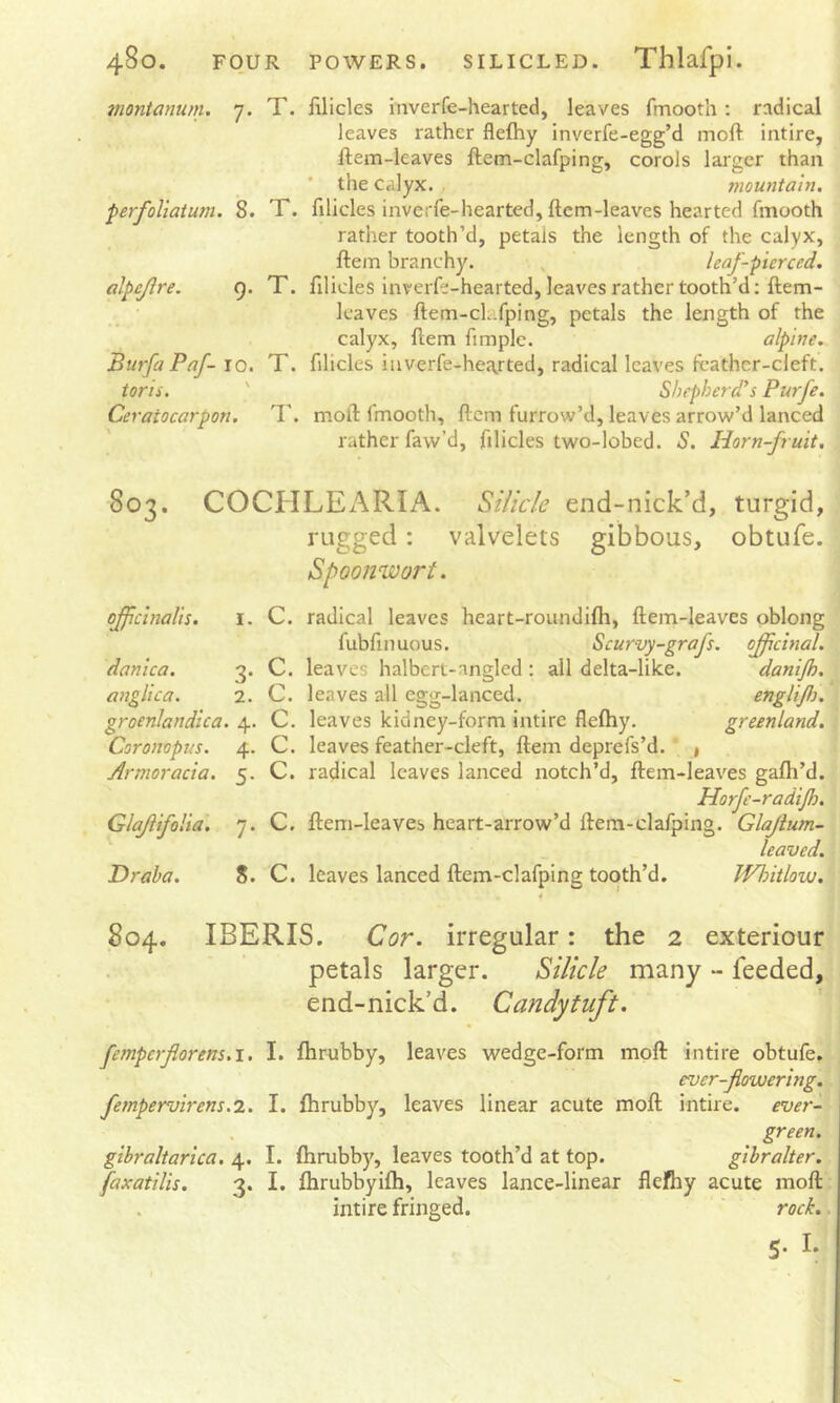 montanum. 7. T. perfoliatum. 8. T. alpejire. 9. T. Burfa Paf- 10. T. toris. ' Ceraiocarpon. filicles inverfe-hearted, leaves fmooth: radical leaves rather flefhy inverfe-egg’d moft intire, ftem-leaves ftem-clafping, enrols larger than the calyx. mountain. filicles inverfe-hearted, ftem-leaves hearted fmooth rather tooth’d, petals the length of the calyx, ftem branchy. leaf-pierced. filicles inverfe-hearted, leaves rather tooth’d; ftem- Icaves ftem-cL.fping, petals the length of the calyx, ftem fimplc. alpine. filicles inverfe-hea^rted, radical leaves fcather-cleft. Shepherd's Purfe. moft fmooth, ftem furrow’d, leaves arrow’d lanced rather faw’d, filicles two-lobed. S. Horn-fruit. 803. COCHLEARIA. Silicic end-nick’d, turgid, rugged: valvelets gibbous, obtufe. Spoonwort. officinalis. I. C. danica. 3. c. anglica. 2. C. groenlandica. 4. c. Coronopus. 4. c. Armoracia. 5. c. Glajlifolia. 7. c. Draba. 8. C. radical leaves heart-roundifh, ftem-leaves oblong fubftnuous. Scurvy-grafs. offcinal. leaves halbert-angled : all delta-like. danijh. leaves all egg-lanced. englijh. leaves kidney-form intire flefhy. greenland. leaves feather-cleft, ftem deprefs’d. , radical leaves lanced notch’d, ftem-leaves gafli’d. Horfe-radijh. ftem-leaves heart-arrow’d ftem-clafping. Glajium- leaved. leaves lanced ftem-clafping tooth’d. Window. 804. IBERIS. Cor. irregular: the 2 exteriour petals larger. Silicic many feeded, end-nick’d. Candytuft. femperjiorens.i. I. ftirubby, leaves wedge-form moft intire obtufe. ever-flowering. fempervirens.i. I. fhrubby, leaves linear acute moft intire, ever- green. gibraltarica. 4. I. fhrubby, leaves tooth’d at top. gibralter. faxatilis. 3. I. fhrubbyifh, leaves lance-linear flefliy acute moft intire fringed. ‘ rock.