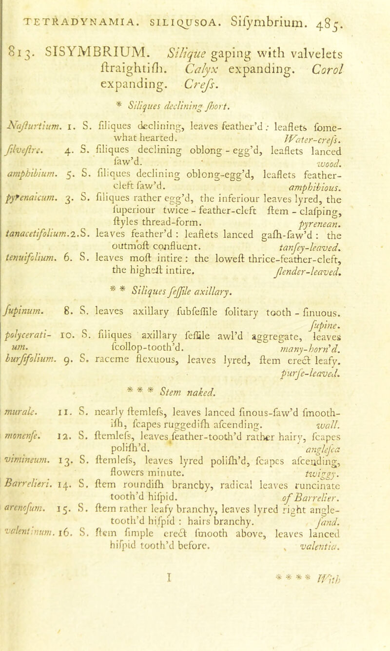813. SISYMBRIUM. gaping with valvelets ftraighthli. Calyx expanding. Carol expanding. Crefs. * Siliqiies declining Jhort. Najiurtlum. i. S. filiques declining, leaves feather’d; leaflets fome- vvhat hearted. Water-crefs. filve/irc. 4. S. flliques declining oblong - egg’d, leaflets lanced ^^w’d. • tuood. amphihium. 5. S. flliques declining oblong-egg’d, leaflets feather- cleft faw’d. amphibious, pyfenaicum. 3. S. flliques rather egg’d, the inferiour leaves lyred, the luperiour twice - feather-cleft fl:em - clafping, ftyles thread-form. pyrenean. tanacetifolium.Q..^. leaves feather’d ; leaflets lanced gafh-faw’d : the outmbfl; confluent. tanfey-leaved. tenuifoUum. 6. S. leaves mofl: intire; the lowefl; thrice-feather-cleft, the higheil; intire. Jlender-leaved. * * Si liques fejfile axillary. fupinum. 8. S. leaves axillary fubfeflile folitary tooth - flnuous. fupine. polycerati- 10. S. flliques axillary felfile awl’d aggregate, leaves urn. _ fcollop-tooth’d. many-horn d. burftfolium. 9. S. raceme flexuous, leaves lyred, flrem erecf leafy. purje-leaved. * * * * Stem naked. murale. ii. S. nearly Ifemlefs, leaves lanced flnous-faw’d fmooth- ifb, fcapes ruggedifh afcending. wall, monenfe. 12. S. ftemlefs, leaves^feather-tooth’d rather hairy, fcapes polHh’d.  anglefea vimineum. 13. S. flemlefs, leaves lyred polifb’d, fcapes afcending, flowers minute. twiggy. Barrelieri. 14. S. fl:em roundifh branchy, radical leaves runcinate tooth’d hifpid. of Barrelier. arenefum. 15. S. flem rather leafy branchy, leaves lyred right angle- tooth’d hifpid : hairs branchy. fand. valent-.num. 16. S. flem Ample credi: fmooth above, leaves lanced hifpid tooth’d before. , valentia. I ^ IVith