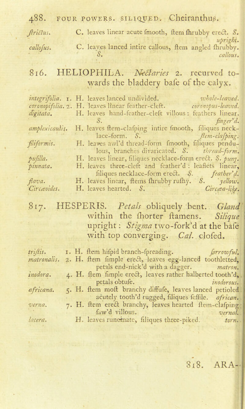 Jlri£lm. C. leaves linear acute fmooth, ftem ftirubby erecl:. S. ■ upright. callofus. C. leaves lanced intire callous, ftem angled ftirubby. S. callous. 816. HELIOPHILA. Nectaries 2. recurved to- wards the bladdery bafe of the calyx. integrifolia. i. H. coronopifolia. 0.. H. digitata. H. amplexi caulis. H. filiformis. H. puflla. H. pinnata. H. fava. H. Circaoides. H. leaves lanced undivided. whole-leaved. leaves linear feather-cleft. coronopus-leaved. leaves hand-fcather-cleft villous: feathers linear. S. fnger'd. leaves ftcm-clafping intire fmooth, filiqucs neck- lace-form. 5. Jlcm-clafping. leaves awl’d thread-form fmooth, filiques pendu- lous, branches divaricated. 5. thread-form. leaves linear, filiques necklace-form erect. S. punp. leaves three-clcft and feather’d : leaflets linear, filiques necklace-form ereift. S. feather'd. leaves linear, ftems ftirubby ruftiy. S. ‘yellow. leaves hearted. S. C'lrcaa-ll!^. 817. HESPERIS. Petals obliquely bent. Gland within the Ihorter ftamens. Silique upright: Stigma two-fork’d at the bafe with top converging. Cal. clofed. trifis. mat)-onalis. inodora. afr'icana. verna. lacera. 1. H. ftem hifpid branch-fpreading. frrowful. 2. H. ftem Ample ereift, leaves egg-lanced toothletted, petals end-nick’d with a dagger. matron. 4. H. ftem Ample erect, leaves rather halberted tooth’d, petals obtufe. ‘inodorous. 5. H. ftem moft branchy diffufe, leaves lanced petioled acutely tooth’d rugged, filiques feflile. african. 7. H. ftem ere£t branchy, leaves hearted flem-clafping faw’d villous. vernal. H. leaves runcinate, filiques three-piked. torn. 818. ARA-