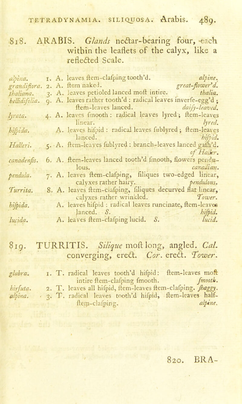 Si8. ARABIS. Glands nci^ar-bearing four, -each within the leaflets of the calyx, like a refledled Scale. iilphia. I. A. leaves ftem-clafping tooth’d. alpine, grafidljiora. 2. A. ftem naked. great-flower'd. thaliana. 3. A. leaves petioled lanced moft intire. thalia. bellidifoVia. 9. A. leaves rather tooth’d : radical leaves inverfe-egg’d ; ftem-leaves lanced. daify-leaved. 4. A. leaves fmooth : radical leaves lyred'; ftem-leaves linear. lyred. A. leaves hifpid : radical leaves fublyred ; ftem-leaves lanced. hifpid. 5. A. ftem-leaves fublyred : branch-leaves lanced gafti^d. of Haikr. 6. A. ftem-leaves lanced tooth’d fmooth, ftovvers pendu- lous. Canadian. 7. A. leaves ftem-clafping, filiques two-edged linear, calyxes rather hairy. pendulous. 8. A. leaves ftem-ciafping, filiques decurved flat linear, calyxes rather wrinkled. Tower. A. leaves hifpid : radical leaves runcinate, ftem-lcavee lanced. S. hifpid. A. leaves ftem-clafping lucid. S. lucid. 819. TURRITIS. Sillgue mod long, angled. Cal. converging, eredl. Cor. ereft. Tower. glabra. i. T. radical leaves tooth’d hifpid: ftem-leaves moft intire ftem-clafping fmooth. fmooth. hirjuta. 2. T. leaves all hifpid, ftem-leaves ftem-clafping. alpina, ■ 3. T. radical leaves tooth’d hifpid, ftem-leaves half- ftem-clafping. alpine. lyrata. hifpida. Halkri. canadenfis. pendula. Turrita. hifpida. lucida. 820. BRA-