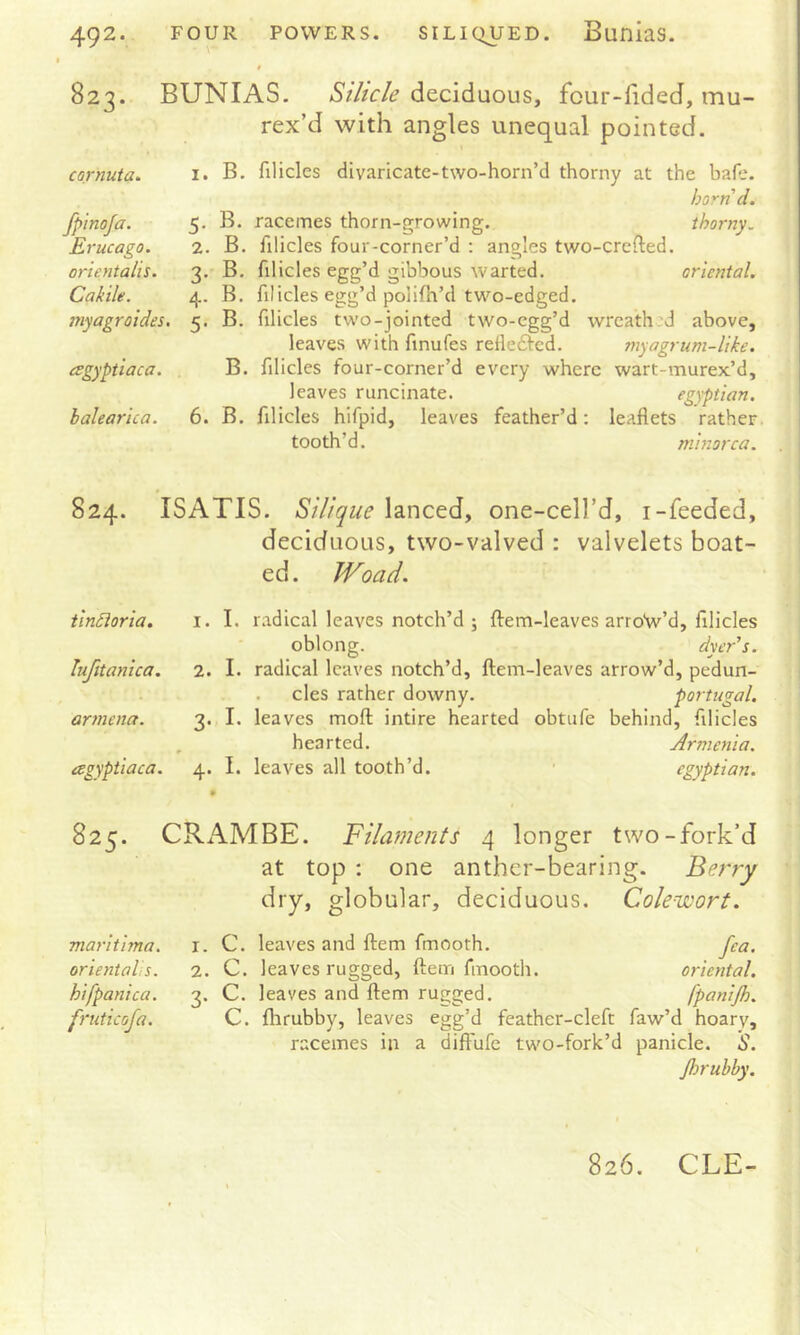 siLi()UED. Bunias. 823. BUNIAS. Stlicle deciduous, four-fided, mu- rex’d with angles unequal pointed. cornuta. fpinofa. Erucago. orientalis. Cakile. i7iyagr aides. esgyptiaca. h alearie a. 1. B. filicles divaricate-two-horn’d thorny at the bafe. horn'd. 5, B. racemes thorn-growing. thorny. 2. B. filicles four-corner’d : angles two-crefted. 3. B. filicles egg’d gibbous warted. oriental. 4. B. filicles egg’d polifh’d two-edged. 5. B. filicles two-jointed two-egg’d wreath'd above, leaves with finufes refledled. myagrum-like. B. filicles four-corner’d every where wart-murex’d, leaves runcinate. egyptian. 6. B. filicles hifpid, leaves feather’d; leaflets rather tooth’d. minor ca. 824. ISATIS. Silique lanced, one-cell’d, i-feeded, deciduous, two-valved : valvelets boat- ed. JVoad. tindioria. i. I. r.idical leaves notch’d ; fl:em-leaves arroW’d, filicles oblong. dyer's, lufitanica. 2. I. radical leaves notch’d, ftem-leaves arrow’d, pedun- cles rather downy. portugal, armena. 3. I. leaves moft: intire hearted obtufe behind, filicles , hearted. Armenia, agyptiaca. 4. I. leaves all tooth’d. ■ egyptian. 825. CRAMBE. Filaments 4 longer two-fork’d at top : one anther-bearing. Ferry dry, globular, deciduous. Colewort. maritima, oriental: s. hifpanica. fruticofa. I. 2. 3- C. leaves and ftem fmooth. C. leaves rugged, ftem fmooth. C. leaves and ftem rugged. C. flirubby, leaves egg’d feather-cleft racemes in a diffufe two-fork’d fea. oriental, fpanijh. faw’d hoarv, panicle. S. Jlmubhy.