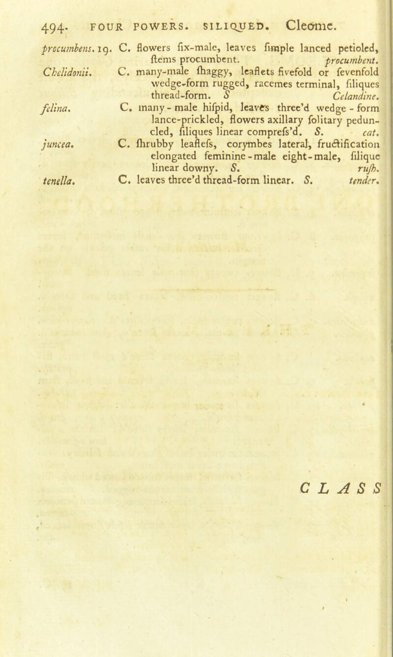 494* four powers, siliqued. Cleamc. procwnbens.iq. C. flowers fix-male, leaves fimple lanced petlolcd, ftems procumbent. procumbent. Chelldomi. C. many-male ftiaggy, leaflets fivefold or fevenfold wedge-form rugged, racemes terminal, filiques thread-form. S Celandine, felina. C, many - male hifpid, leaves three’d wedge - form lance-prickled, flowers axillary folitary pedun- cled, filiques linear comprefs’d. S. cat. juncea. C. Ihrubby leaflefs, cor)mibes lateral, fructification elongated feminine - male eight-male, filique linear downy. S. rujh. tenella. C. leaves three’d thread-form linear. S. tender. CLASS