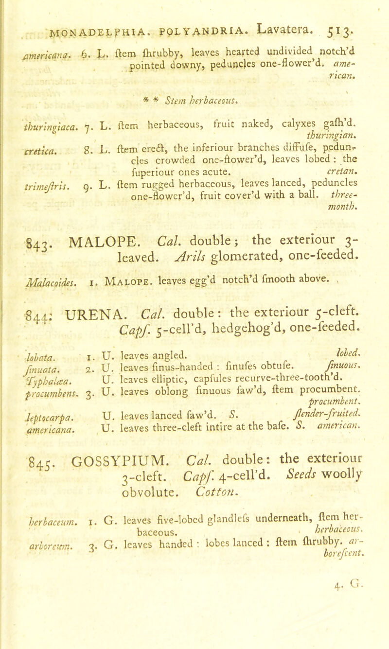 fijfuricana. 6. J.. ftem Ihrubby, leaves hearted undivided notch’d pointed downy, peduncles one-flower’d. ame- rican. \ * * Stem herbaceous. thurlngiaca. y. !-<• ilem herbaceous, fruit naked, calyxes §^lh d. thuringian. cretica. 8. L. fbem ere£l:, the inferiour branches diffufe, pedun^ cles crowded one-ftower’d, leaves lobed : the fuperiour ones acute. cretan. trime/iris• Q* L. ftem ruf^^ed herbaceous, leaves lanced, peduncles one-flower’d, fruit cover’d with a ball, three- month. 843. MALOPE. Cal. double; the exteriour 3- leaved. Arils glomerated, one-feeded. Malacoides. 1. Malope. leaves egg’d notch’d fmooth above. , 844; URENA. Cal. double: the exteriour 5-cleft. Cap/. 5-ceird, hedgehog’d, one-feeded. ■ labata. procumbens. Jeptocarpa. americana. fmuata ‘fyphaL 1. U. leaves angled. ' lobed. 2. U. leaves finus-hancled : finufes obtufe. Jinuous. U. leaves elliptic, capfules recurve-three-tooth’d. 3. U. leaves oblong finuous faw’d, ftem procumbent. procumbent. U. leaves lanced faw’d. S. Jlender-fruited. U. leaves three-cleft intire at the bafe. S. american. 845. GOSSYPIUM. Cal. double: the exteriour j-cleft. Caff. 4-cell’d. Seeds woolly obvolute. Cotton. herbaceum. arborewn. I. G. leaves five-lobed glandlcfs underneath, ftem her- baceous. • herbaceous. 2 G leaves handed ; lobes lanced '. ftem fhrubby. ai- bore/cent.
