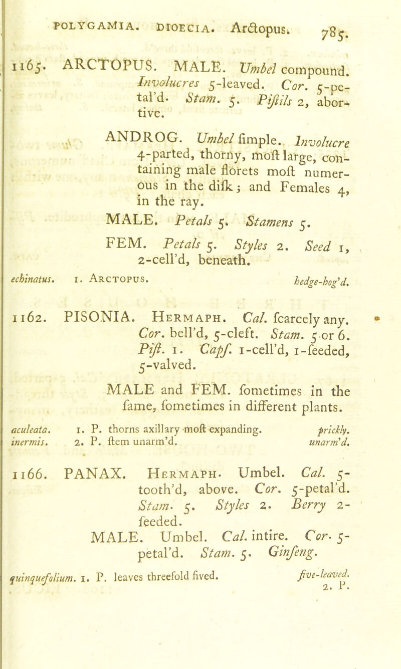 1165» ARCTOPUS. Male. compound. ANDROG. Umbel fimple. hivohicre 4-p^ted, thorny, moft large, con- taining male florets mofl; numer- ous in the dilk j and Females 4, in the ray. MALE, ' Petals 5. Stamens 5. FEM. Petals 5. Styles 2. Seed i, 2-cell’d, beneath, echinatus, i. Arctopus. hedge-hog'd. 1162. PISONIA. Hermaph. C^/. fcarcelyany. Cor, bell’d, 5-cleft. Stam, 5-or 6. Pift, I. Capf, I-cell’d, i-feeded, 5-valved. MALE and FEM. fometimes in the fame, fometimes in different plants. 1166. PANAX. Hermaph. Umbel. Cal. 5- tooth’d, above. Cor. 5-petal’d. Stum. 5. Styles 2. Berry 2- feeded. MALE. Umbel. Cal. intire. Cor^ 5- petal’d. Stam. 5. Ginfeng. Involucres 5-leaved. Cor. 5-pc- tal’d. Stam. 5. Pifiih 2, abor- tive. aculeata. i. P. thorns axillary moft expanding. inermis. 2. P. ftem unarm’d. quinquefolium. I. P. leaves threefold fived. fve-leaved.