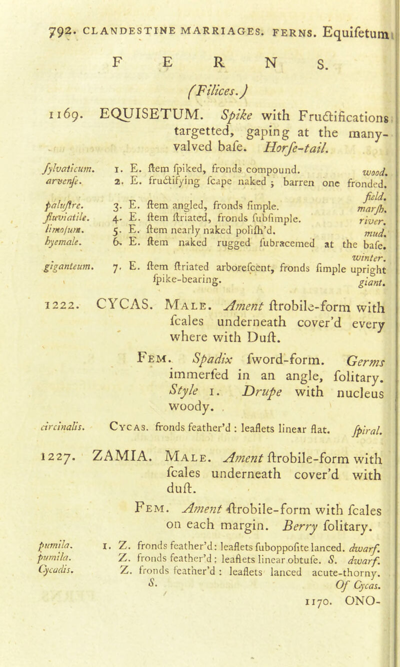 I 169. fylvaihum. arvcnfe. paluftre. Jiuvtattle. Ihnojutti. hyemale. gtganteum, \ 1222. FERNS. (Filices.) EQUISETUM. Spike with Fnidtifications; targetted, gaping at the raany- valved bafe. Horfe-tail. 1. 2. 3- 4' 5- 6, E. ftern fpiked, fronds compound. E. frudlifying fcape naked ; barren wood. one fronded. field, marjh, river, mud. at the bafe. . winter. Item ftriated arborefeent, fronds fimple upright ^pike-bearing. ’ giant. E. ftem angled, fronds fimple. E. ftem ftriated, fronds fubfimple. E. ftem nearly naked polifh’d. E. ftem naked rugged fubracemed E. CYCAS. Male. Ament flrobile-form with fcales underneath cover’d every where with Dufl. circinalis. Fem. Spadix immerfed Style I. woody. . fword-form. Germs in an angle, folitary. Drupe with nucleus Cycas. fronds feather’d : leaflets linear flat. fptral. 1227.' ZAMIA. Male. Ame?it {kvohWt-iorm ^Nlth. fcales underneath cover’d with dull;. Fem. Ament ftrobile-form with fcales on each margin. Berry folitary. pumila. I. Z. fronds feather’d: leaflets fuboppofitelanced. pumila. Z. fronds feather’d; leaflets linear obtufe. 5. dwarf. Cycadis. Z. fronds feather’d : leaflets lanced acute-thorny. ^ • Of Cycas. 1170. ONO-