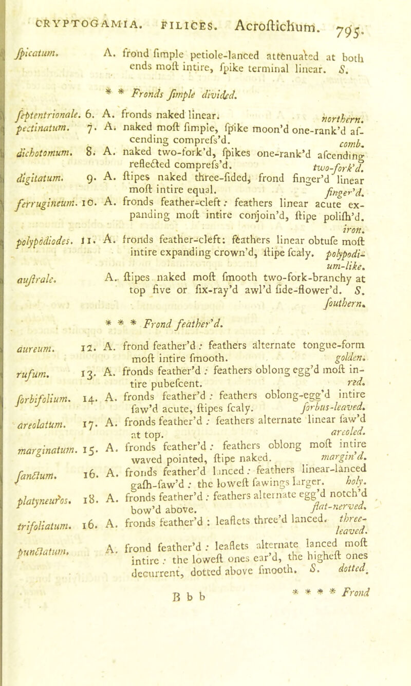 /picatum. feptentrionale. pectinatum. dichotomum. digitatum, ferrugineum. polypddlodes. aujirale. aureum. rufum. forblfolium. areolatum. marginatum. fanSlum. platyneufos, irlfoliatum. pun^atum. 795- A. trond fimple petiole-lanced attfenua'ted at botli ends moft intire, fpike terminal linear. S. * * Fronds fimple divided. , 6. A, fronds naked linear* northern. 7. A* naked moft fimple, ff^ike moon’d one-rank’d af- cending comprefs’d. comb^ 8t A. naked tvvo-tork d, fpikes one—rank’d afeending refledted comprefs’d. two-fork'd. 9. A. ftipes naked three-fidedj frond finger’d'^linear moft intire equal. finger'd. 10. A. fronds feather-cleft; feathers linear acute ex- panding moft intire conjoin’d, ftipe polifh’d. iron. 11. A. fronds feather-cleft; feathers linear obtufe moft intire expanding crown’d, ftipe fcaly. polypodU um-llke. h..- ftipes naked moft fmooth two-fork-branchy at top five or fix-ray’d awl’d fide-flower’d. 5. fouthern.. * * * Frond feather'd. 12. A. frond feather’d; feathers alternate tongue-form moft intire fmooth. golden. 13. A. fronds feather’d : feathers oblong egg’d moft in- tire pubefeent. ^^d, 14. A. fronds feather’d ; feathers oblong-egg’d intire faw’d acute, ftipes fcaly. forbus-leaved. 17. A. fronds feather’d ; feathers alternate linear faw’d I't top. toled. 15. A. fronds feather’d; feathers oblong moft intire waved pointed, ftipe naked. margin d. 16. A. fronds feather’d 1.meed; feathers linear-lanced gafh-faw’d ; the loweft iawings larger. holy, iB. A. fronds feather’d ; feathers alternate egg’d notch’d ^ bow’d above. fiat-nerved, 16. A. fronds feather’d : leaflets three’d lanced, three- leaved. A frond feather’d : leaflets alternate lanced moft intire ; the loweft ones ear’d, the higheft ones decurrent, dotted above fmooth. S. dotted^ * * * * Frond B b b