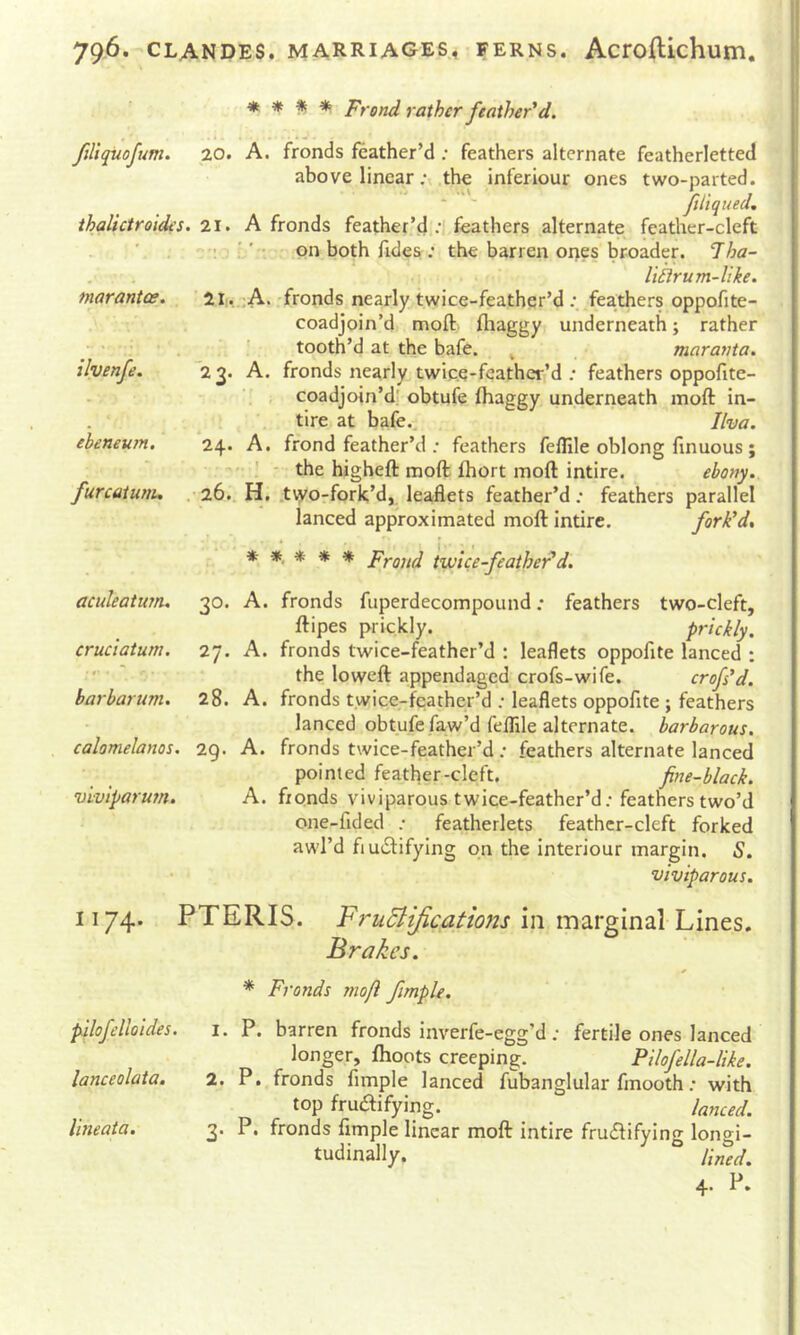 * * * * Frond rather feather'd. ftllquofum. 20. A. fronds feather’d ; feathers alternate featherletted above linear A the inferiour ones two-parted. ‘ ' filtqued, ihalictroides. 21. A fronds feather’d feathers alternate feather-cleft ■ on both fidesr; the barren ories broader. 7ha~ I'tbrum-llke. marantce. 2Ii,,:A. -fronds nearly twice-feathqr’d ; fea.thers oppofite- coadjoin’d mofl: fliaggy underneath; rather ‘ ' tooth’d at the bafe. ^ maranta. ilvenfe. 2 3. A. fronds nearly twice-fcathcr’d ; feathers oppofite- coadjoin’d; obtufe fhaggy underneath moft in- tire at bafe., Iha. ebeneum. 24. A. frond feather’d ; feathers feffile oblong hnuous ; ' ' - the higheft moft fhort inoft intire. ebony, furcatunu .• 26.. H. .t\yo-fork’d, leaflets feather’d ; feathers parallel lanced approximated moft intire. fork'd* ***** Frond twice-feather'd. aculeatum. 30. A. fronds fuperdecompound; feathers two-cleft, ftipes prickly. prickly, cruciatum. 27. A. fronds twice-feather’d : leaflets oppofite lanced : ' ' the loweft appendaged crofs-wife. crofs'd. barbarum. 28. A. fronds twice-feather’d ; leaflets oppoflte ; feathers lanced obtufe faw’d feflile alternate, barbarous, calomelanos. 29. A. fronds twice-feather’d; feathers alternate lanced pointed feather-cleft. fine-black, viviparum. A. fronds viviparous twice-feather’d; feathers two’d one-fided ; featherlets feather-cleft forked awl’d fiuiSlifylng on the interiour margin. S. viviparous. 1174. PTERIS. F?''uBiJications m indLVgindX 'Lmts. Brakes. * Fronds moft fmple. pilofelloides. i. P. barren fronds inverfe-egg’d; fertile ones lanced longer, ftioots creeping. Pilofella-like, lanceolata, 2. P. fronds Ample lanced fubanglular fmooth; with top fruaifying. ^ /anced. lineata, 3* P• fronds Ample linear moft intire fruaifying longi- tudinally. ® lined. 4. P.