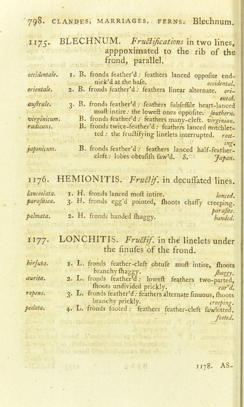 ‘79^* CLANDiJS. MARRIAGES, FERNS. Blechnum. 1175. BLECHNUM. FruBiJications \ntvi/o WntSy ... ' apppoximated to the rib of the ^ , frond, parallel. occidentale. i. B. fronds feather’d: feathers lanced oppofite end- nick’d at the bafe. occidental, orientale. 2. B. fronds feather’d; feathers linear alternate. ori- ental. aujlrale. 3. B. fronds feather’d; feathers fubfelTile heart-lanced mofl: intire; the loweft ones oppofite.* Jouthern. virginicum. B. fronds feather’d ; feathers many-cleft. Virginian, radicans. B. fronds twice-feather’d ; feathers lanced notchlet- ted ; the frudifying linelets interrupted, root- japonictim. B. fronds feather’d ; feathers lanced half-feather- cleft ; lobes obtufifli fawM. S. yapan. i . t ■ 1176. HEMIONITIS. FruSltf. in deculTated lines. lanceolata. 1. H. fronds lanced moft intire. lanced, parafitica. 3. H. fronds egg’d pointed, Ihoots chaffy creeping! parafite. palmata. 2. H. fronds' handed Ihaggy. handed. 1177- hirjuia. aurita. repens. pedata. LONCHITIS. FruSiif. in the linelets under the finufes of the frond. 1. L. fronds feather-cleft pbtufe moft intire, Ihoots branchy Ihaggy. ‘ ' Jhaggy. 2. L. fronds featherM; loweft feathers two-parted, Ihoots undivided prickly. eadd. 3. L. fronds'feather’d'; feathers alternate finuous, Ihoots branchy prickly^ ‘ creeping. 4. L. fronds footed ; feathers feather-cleft fawletted. footed. 1178. AS-