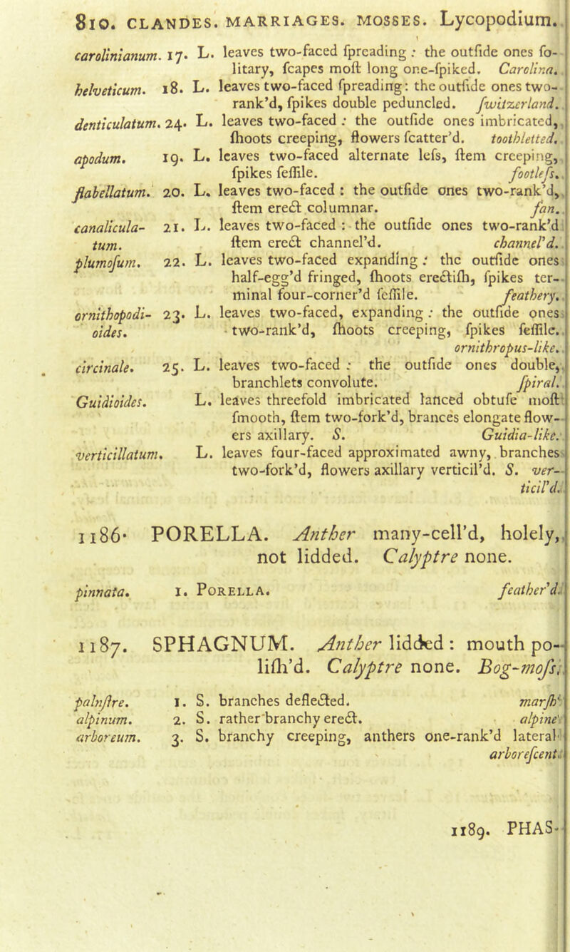 carolinianum. 17« L* helveticum. 18. L» denticulatum^ 24* L. apodum, IQ* Jlabellatum.' 20. L. canalicula- 2I. I-<. turn. plumofum, 22. L. a .» ornlthopodi- 23* i-»* aides. circinale. 25. L. 'Guidioides. L. verticillatum, L. leaves two-faced fprcading : the outfide ones fo-- litary, fcapes moft long or.e-fpiked. Carolina. leaves two-faced fpreading: the outfide onestwo- rank’d, fpikes double peduncled. fwitzcrland. leaves two-faced ; the outfide ones imbricated, fhoots creeping, flowers fcatter’d. toothletted. leaves two-faced alternate lefs, ftem creeping,, fpikes fellile. footlefs.. leaves two-faced : the outfide ones two-rank’d,, ftem eredi columnar. fan leaves two-faced :• the outfide ones two-rank’di ftem erect channel’d. channeled. leaves two-faCed expanding the outfide ones half-eg»’d fringed, fhoots eredlifh, fpikes ter- minal four-corner’d fellile. ^ feathery. leaves two-faced, expanding; the outfide ones; ‘ two-raiik’d, fhoots creeping, fpikes fellile.. ornithropus-like.. leaves two-faced: the outfide ones double,. branchlets convolute. fpiral.\ leaves threefold imbricated lanced obtufe mofti fmooth, ftem two-fork’d, brances elongate flow- ers axillary. S. Guidia-like: leaves four-faced approximated awny, branches': two-fork’d, flowers axillary verticil’d. 5. ver— ticiVd, Ii86* PORELLA. Anther maDy-cell’d, holely,^ not lidded. Calyptre none. j I. PoreLLA. feather d. pinnata. 1187. palnjlre. alpinum. arboreum. SPHAGNUM. Anther lidcied : mouth po~ lifli’d. Calyptre none. Bog-mofs'h 1. S. branches defleiSled. marjh^ 2. S. rather'branchy eredl. alp'tne't' 3. S. branchy creeping, anthers one-rank’d lateral'!' ' arhorefeenti 1x89. PHAS-