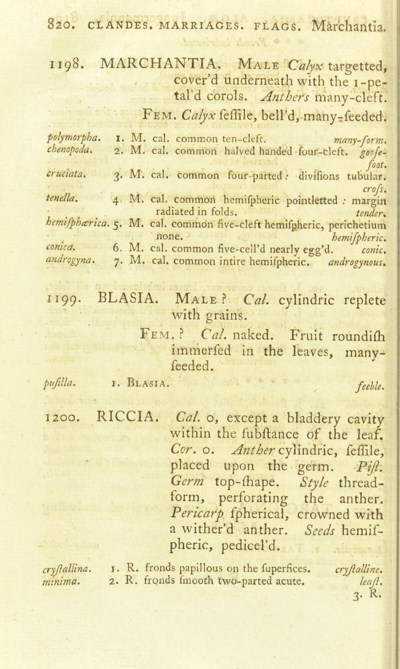 i - i 1198. MARCHANTIA. Male targetted, . . cover’d underneath with the i-pe- tal d corols. Anthers nianv-cleft. Fem. C^^Arfeffile, bell’d,-many^feeded. polymo7-pha. i. M. cal. common ten-clcft. many-form. chenopoda. 2. M. cal. common halved handed-four-cleft, gsoje- ■ cruciata, 2* M* cal. common four-parted.* divilions tutularv crofs. ienella. 4, IVI. cal. common hemifpheric pointletted : margin radiated in folds. tender, hemifpheErica. 5. M. cal. common five-cleft hemifpheric, perichetium none. < hemifpheric. cornea. 6. M. cal. common five-cell’d nearly egg’d. conic, androgyna, 7. M. cal. common intire hemifpheric. androgynous, 1199. BLASIA. Male .f* Cal. cylindric replete with grains. Fem. .? ^ Cal. naked. Fruit roundifh immerfed in the leaves, many- feeded. ' pufilla. I. Blasia. ■ ' ' ^ 1200. RICCI A. Cal. o, except a bladdery cavity within the fubflance of the leaf. Cor. o. Anther cyVindnCy feffile, placed upon the-germ. -Pi/l. Germ top-fhape. Style thread- form, perforating the anther. Pericarp fpherical, crowned with a wither’d anther. Seeds hemif- pheric, pedicel’d. \ cryJlalUna. i. R. fronds papillous on the fuperfices. cryjialline. minima. 2. R. fronds iinooth two-parted acute. leaf. 3. R.