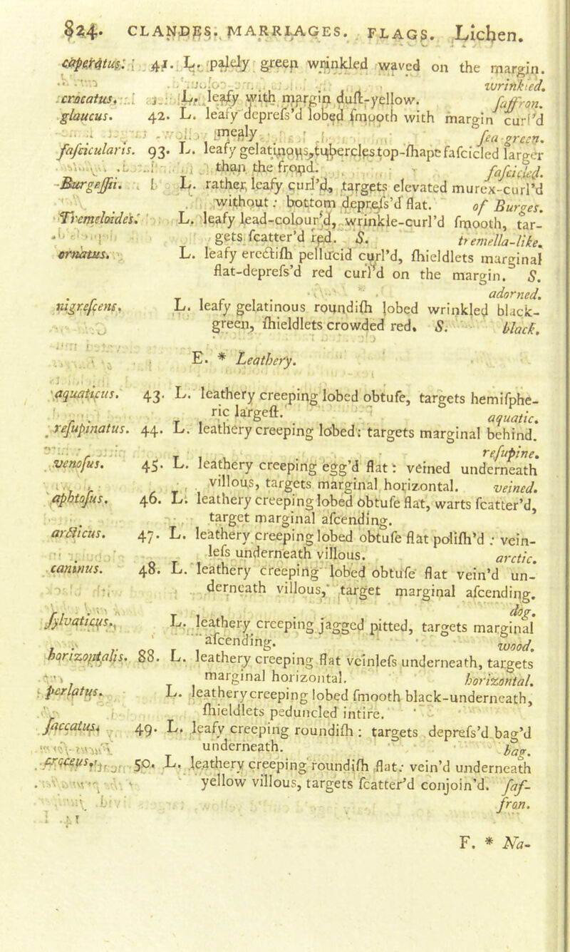 ?2.4* CLANDps.^ marriages. , FLAG?. ..Lidjcn, c.bp(.mur.\ 4a. l^.^.;paJdj greefi wrinlded waved on the margin. . i. .. ivrtnkie'd, icrncatm, -:! , nijirgin duft-yellow. fuffron. .glaucus. 42. L. leafy deprefs’d loted fmpptk with margin'^ curi^d y P w6 >' .1. i’ fea green, fafcicularts. 93. leafy gelati^Q^Sj,ti^^erdpstop-fliapefafcicled larger . ‘ t .. ,;i Si thop. the ^rppd. ,r /a/deje^. -Burgeffu. . h q 1^. rathejr, leafy curJ’do .target^ elevated murex-curl’d L. without; bottom ,depr,eis’d'flat. of Burges. L, leafy lead-colDur^,d,„wrinkle-currd fmooth, tar- ,, gets,fcatter’d rp. “5. emella-liie. L. leafy eredifli pellirdd curl’d, fhieldlets marginal flat-deprefs d red curPd on the margin. S. • /- T 1 r I • adorned, nigrefens, L. leafy gelatinous roundilh jobed wrinkled black- .. . .. .u green, fhieldlets crowded red. S. ' black. '^remdoidesl .i* • > »1'j-'■ trnatus. .‘•ri i .i. E. * Leathefy. \aquat:ifus. 43. L. leathery creeping lobed obtufe, targets hemifphe- ' l^rgeft. . ’ aquatic. ■rejupmatus. 44. L. leathery creeping lobed ; targets marginal behind. T I V • • • refupine. 45» L>. leathery creeping egg’d flat i veined underneath _ ^ .villous, targets marginal horizontal. veined. 46. L‘. leathery creeping lobed obtufe flat, warts fcatter’d, marginal afcendlng. 47. L. leathery creeping lobed obtufe flat polifh’d ; vein- lefs underneath villous. arctic. 48. L. leathery creeping lobed obtufe flat vein’d un- derneath villous,* 'target marginal afcendiqg. fylvatii^s., L.^ Ieather-y creeping jagged pitted, targets marginal i' ' “'afeending. ’ wood. hc\ri-z.o}^plis. 88. L. leathery creeping flat vcinlefs underneath, targets marginal horizontal. hori%ontal. L. leatherycreeping lobed fmooth black-underncath, fliieldlets peduncled intire. ,^venofu5. '.aphiofus. ar^icus.  '. d, cantnus. If perl(^t^s jaccatu^^ V, 49- L. Ipfy creeping roundifh : targets deprefs’d bag’d <o\- 'underheath. ■ • hag. S9' L'..Ieathery creeping'roundifh .flat; vein’d underneath  yellow villous, targets fcatter’d conjoin’d, faf- ■ b. . ' fron. 1 .r.T F. * Na~