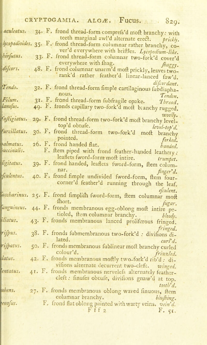 34. F. frond thread-form comprefs’d moft branchy; with teeth marginal awl’d alternate erc£l:. prickly, lycopodioides. 35. F. frond thread-form columnar rather branchy, co- ver’d everywhere with brillles. Lycopodium-like. 33. F. frond thread-form columnar two-forlc’d cover’d everywhere with fliag. Jhaggy. 48. F. frond columnar unarm’d moft prickly, leaves two- ■ rank’d rather feather’d linear-lanced faw’d. T? r j u 1 /- r , . difcordant. 32. r. rroncl thread-form nmple cartilaginous fubdiapha- nous. Tendon. 31. r. rrond thread-form fubfragile opake. Lbread. 4Q. F. fronds capillary two-fork’d moft bianchy rugged. T? r- , woolly. 29. r . rrond thread-form two-fork’d moft branchy level- top’d obtufe. level-tofd. 30. F. frond thread-form two-fork’d moft branchy pointed. 26. h. frond handed flat. handed. F. ftem piped with frond feather-handed leathery ; leaflets fword-form moft intire. trumpet. 39. F. frond handed, leaflets Iword-form, ftem colum- finger'd. 40. F. frond Ample undivided fword-form, ftem four- corner’d feather’d running through the leaf. %■ 1 • T' • efculent. accbannus. 25. F. frond fimplifli fword-form, ftem columnar moft ftiort. ' fiugar. 'anguineus. 44. F. fronds membranous egg-oblong moft intire pe- tioled, ftem columnar branchy. bloody. 43. F. fronds membranous lanced proliferous fringed. fringed. 38. F. fronds fubmembranous two-fork’d ; diviftons di- lated. curl'd. 50. F. fronds membranous fublinear moft branchy curled colour’d. frizzled. 42. F. fronds membranous moftly two-fork’d rib’d ; di- vifions alternate decurrent two-cleft. winged. 41. F. fronds membranous nervelefs alternately feather- cleft ; finufes obtufe, diviftons gnaw’d at top. tooth'd. 27. F. fronds membranous oblong waved finuous, ftem columnar branchy. hlujhing. f. frond flat oblong painted with warty veins, vein'd. Fff2 ' F. <ji. aculeatus. hirfutus. dijeors. Tendo. Filum. lanofus. ^ajiigiatus. ^ur ciliatus. >almatus. 'uccinalis. ligitatus. fculent us. '.Uatus. rifpus. 'ifpatus latus. 'entatus. ubens. 'enofus.