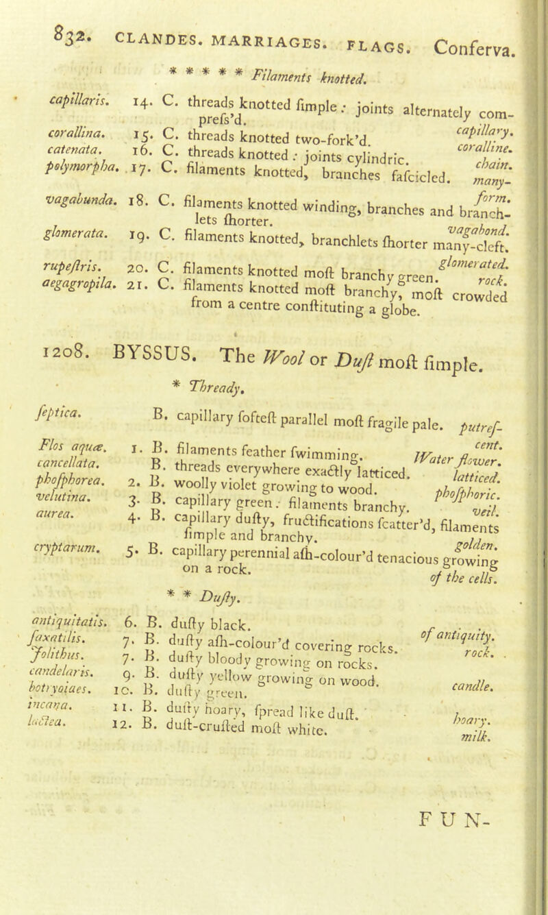 ,***** FUammt, kmtud. capUlark. C. <hp*b,ot.ed fimple .• joints alternatciy com- rW/M. 15. C. threads knotted two-fork’d “’pillayy. MenaU, 16. C. threads knotted .• joints cylindric h' polymorpha. C. filaments knotted! brandtes fafcicled. vagalunda. .8. C. fiWmsknd gUmerata. ,g. C. fila^ntrknotted. branchlets (hotter m^nTcIet rupeflrh. 20. C. filaments knotted moft branchy ^reen aegagrop,la. 21. C. fihments knotted moft branchy” moft crowded from a centre conftituting a globe. 1208. BYSSUS. The JVool or Duji moll: fimple. • * Thready, B. capillary fofteft parallel moft fragile pale, putref- feptica. Flos aqua, cancellata. phofphorea, velutina. aurea. cryptarum. antiquitatis, fax at ills, yoil thus, candelaris. hotryoiacs. incana. hi£tea. 2. 3- 4- B. filaments feather fwimming. Water Jlo2r B threads everywhere exaftly latticed. B. woo y violet growing to wood. pho/phonf. B. cap; ary green; filaments branchy. ^ B. capdlary dufty, fructifications fcatter'd, filaments iimple and branchy. r, B. capillary perennial alh-colour’d tenacious growing on a rock. A, on a rock. * * Dujy. 6. 7‘ 7- 9- B. dufty black. B. dufty ajh-colour’d covering rocks, dufty bloody growing on rocks. ' S' growing on wood. 1C. j>. tliilry green. 11. B. dufty hoary, fpread like duft. ' 12. B. duft-crufted moft white. of the cells. of antiquity, rock. candle. t hoary. milk. F U N-