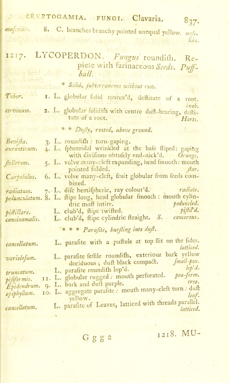 CRYPTOGAMIA. FUNGI. Clavarla. mufcoldc^, b. C. branches branchy pointed unequal )'eIlo\v. ^37- niofs- llkc. 1217. LiCOPERDON. roundilli. Re- plete with farinaceoi.is Puff- ball. Tuber. cervinum. * Solid., Juhterrancous without root. 1. L. globular folid niurex’d, deftitutc of a root. knob. 2. L,. globular folidhli with centre duft-bcaring, ddK- tute of a root. Harts. Bovijia. 3. curantir.um. 4. Jtelloi'im. 5. Carpoholus. 6. radiatum. 7. pedunculatum. 8. piflillare. cancinomalis. cancellatum. variolofum. truncatum, piftformis. 11 • Epidendrum. 9. epiphyllum. 10. cancellatum. * * Dujly., rooted^ above ground. ' L. roundifh ; torn-gaping. L. fpheroidal wrinkled at the bafe ftiped: gapihg with divifions obtufely end-nick’d. Orange. L. volve many-deft expanding, head fmooth; mouth pointed folded. Jim-. L. volve many-clcft, fruit globular from feeds com- bined. L. dife hemifphcric, ray colour’d. radiate. L. ftipe long, head globular fmooth ; mouth cylin- dric molf intire. peduncled. L. club’d, ftipe twifted. Pilin’d. L. club’d, ftipe cylindric ftralght. S. cancerous. '* * * Parafite^ burjling into duji. L. parafite with a puftule at top flit on the Tides. latticed. L. parafite feflile roundifh, exteriour bark yellow deciduous ; duft black cornpad. Jmall-pox. L. parafite roundifh lop’d. l°P ^1' L. globular rugged ; mouth perforated. pea-jorrn. L. bark and duft purple. L. ao-greffate parafite ; mouth many-cleft torn : dult yellow. • . f A L. parafite of Leaves, latticed with threads G g g 2 1218. MU-